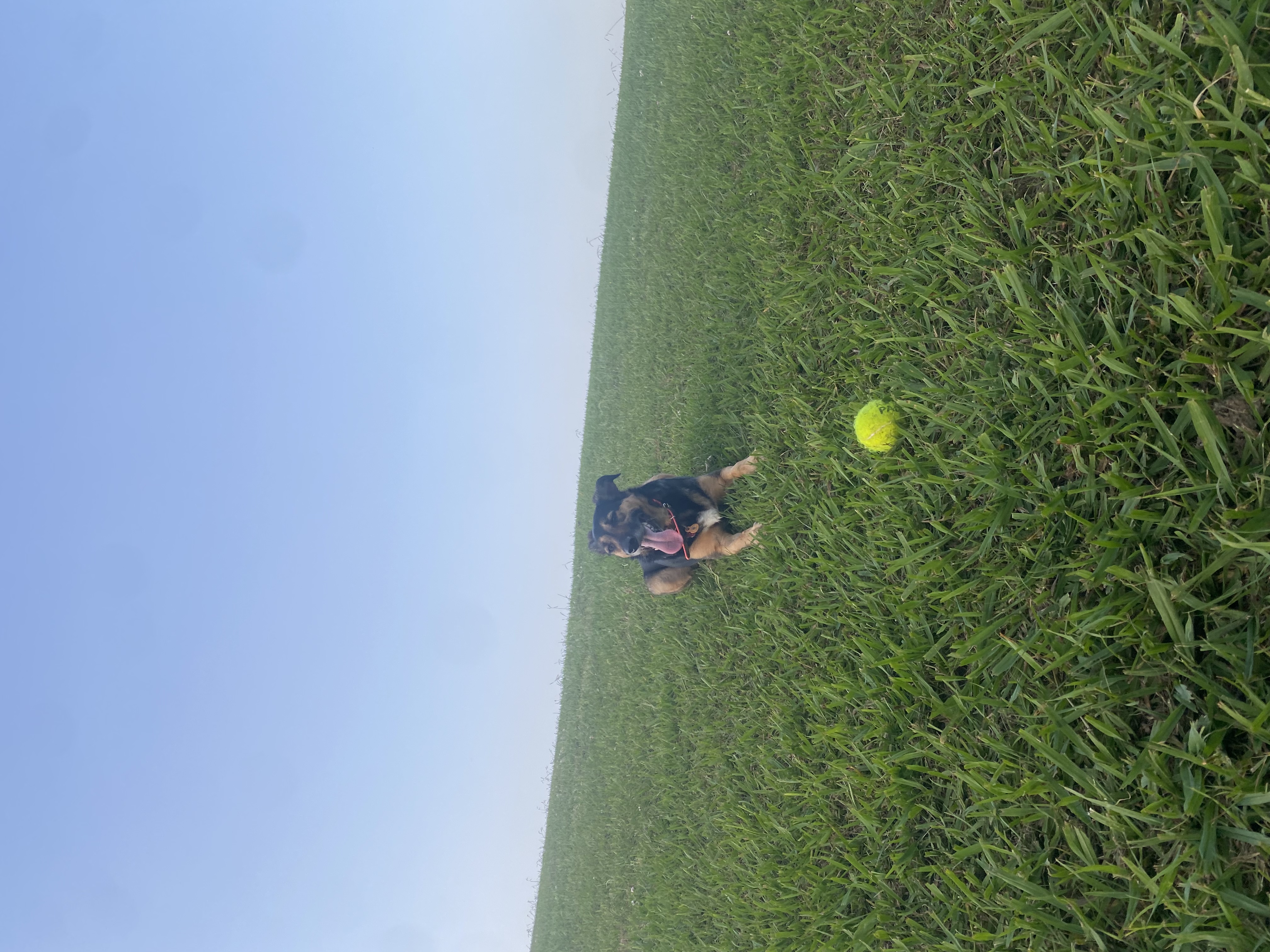 image-10