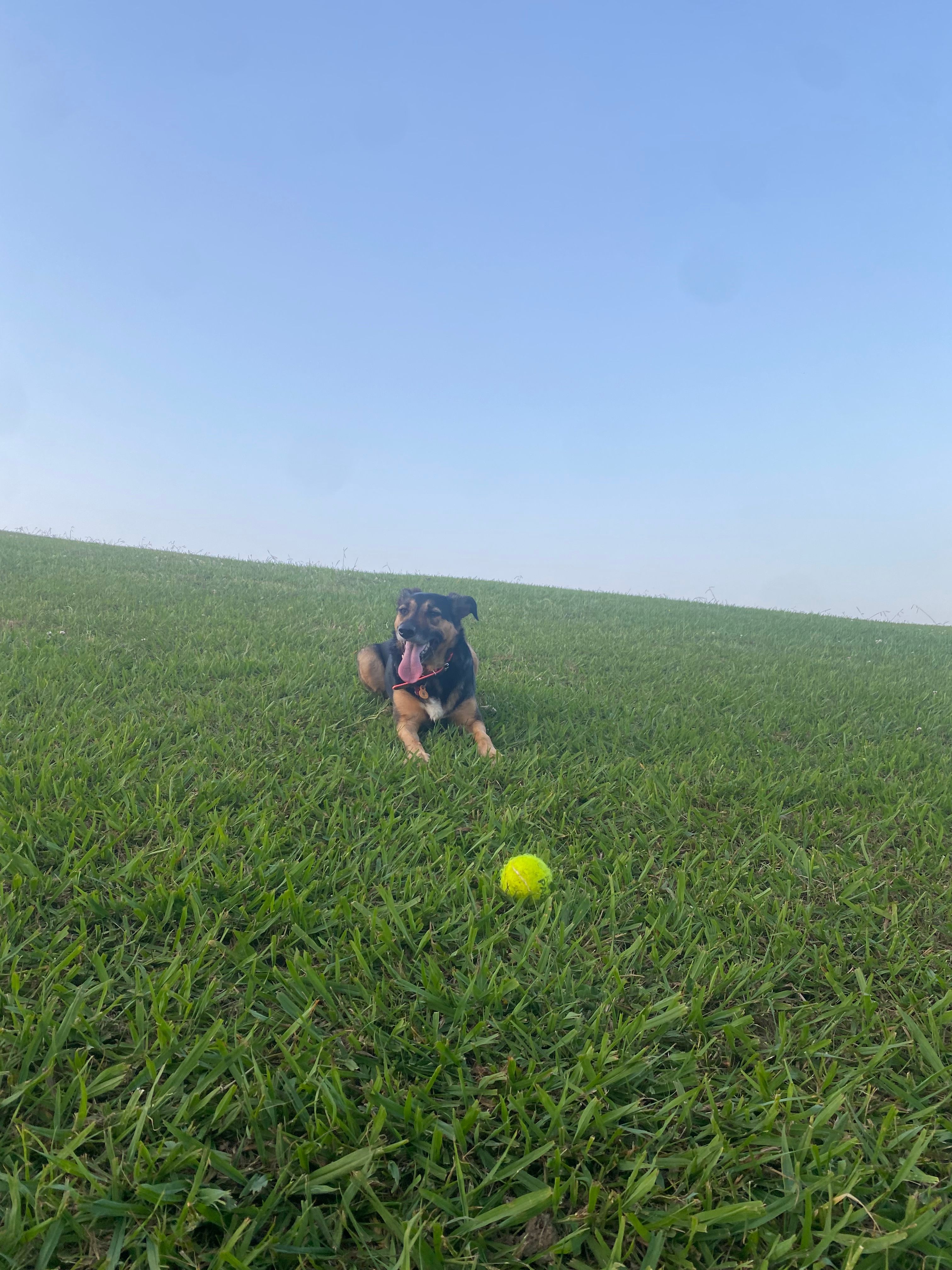 image-10
