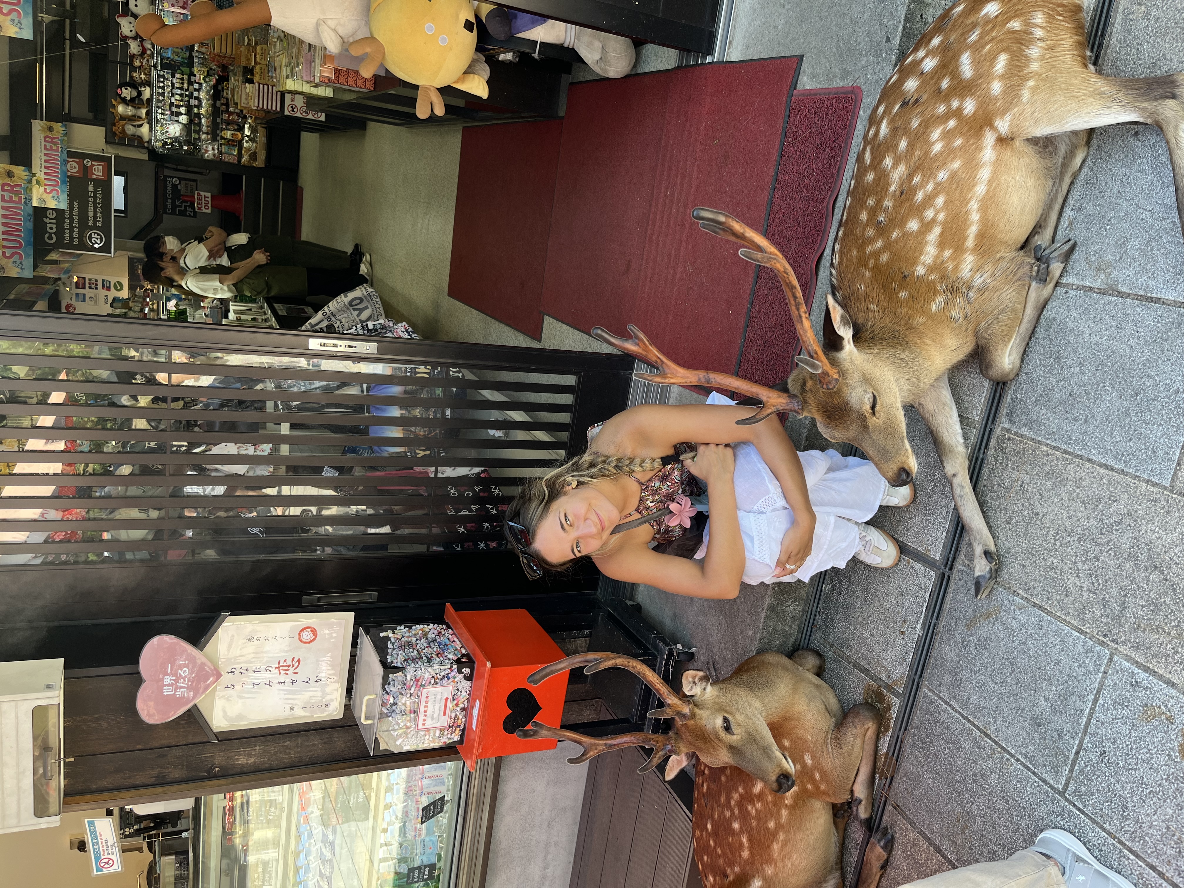 image-3