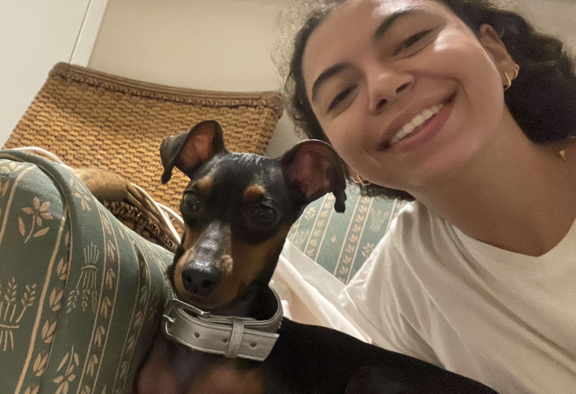 image-2
