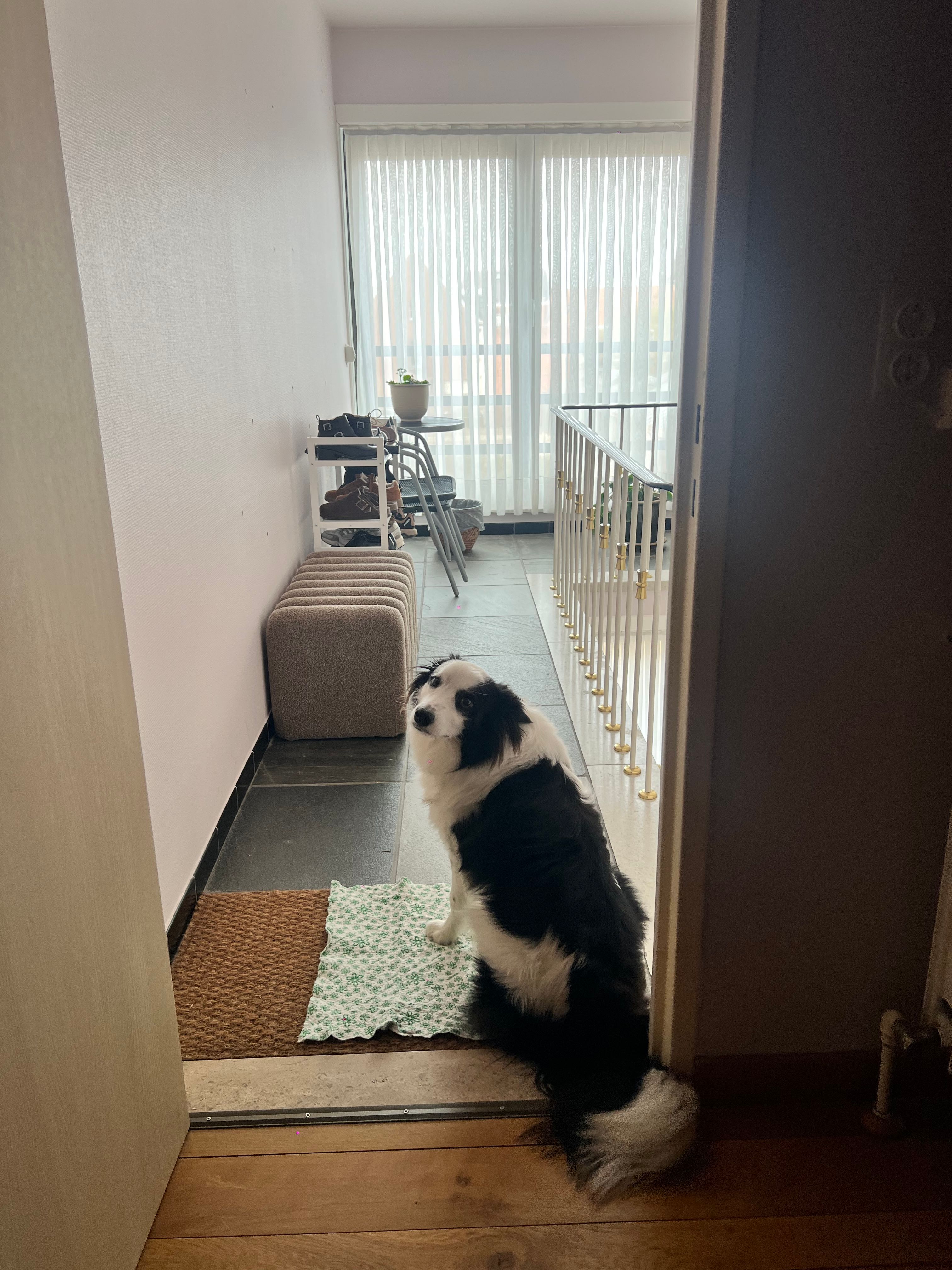 image-18