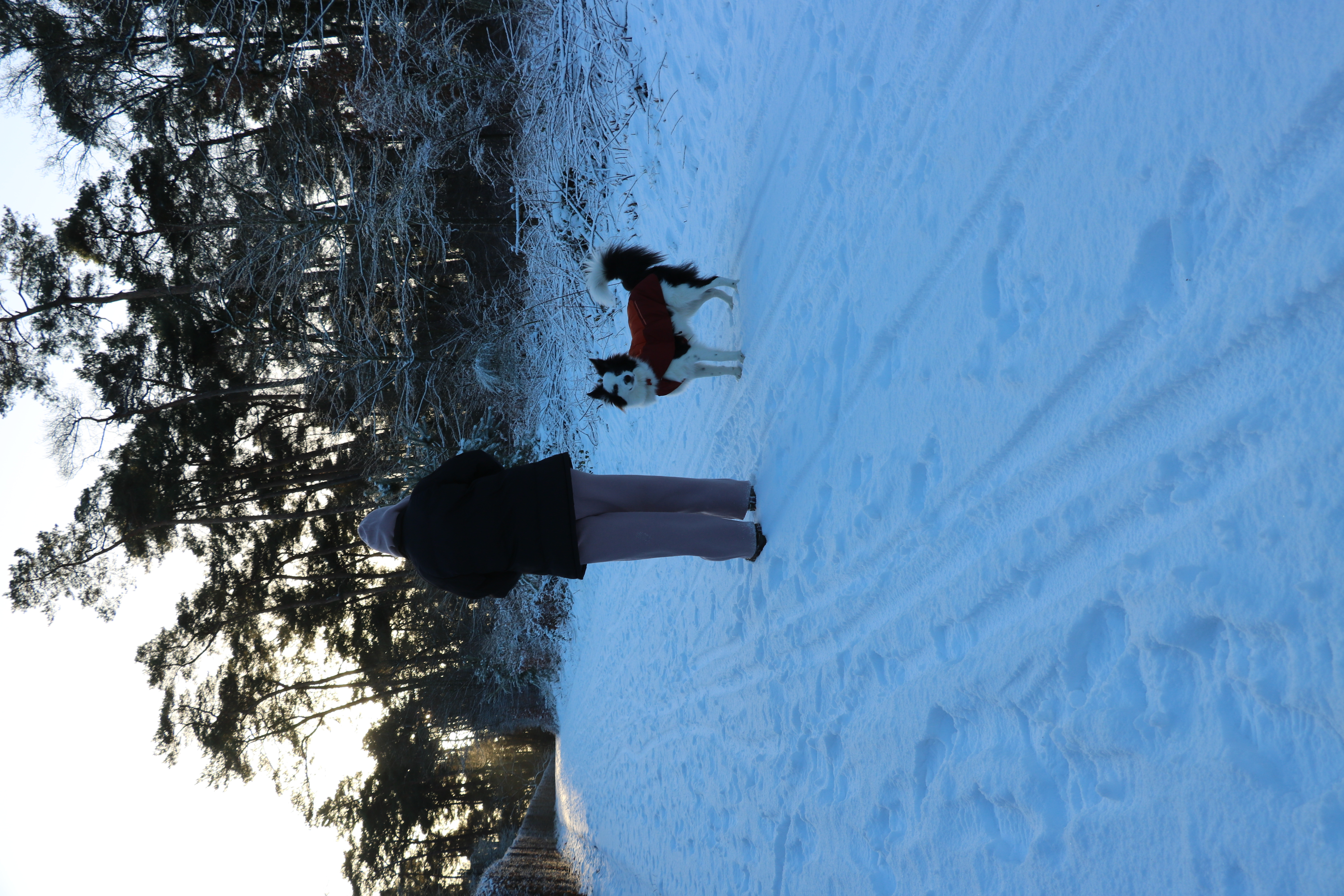 image-6