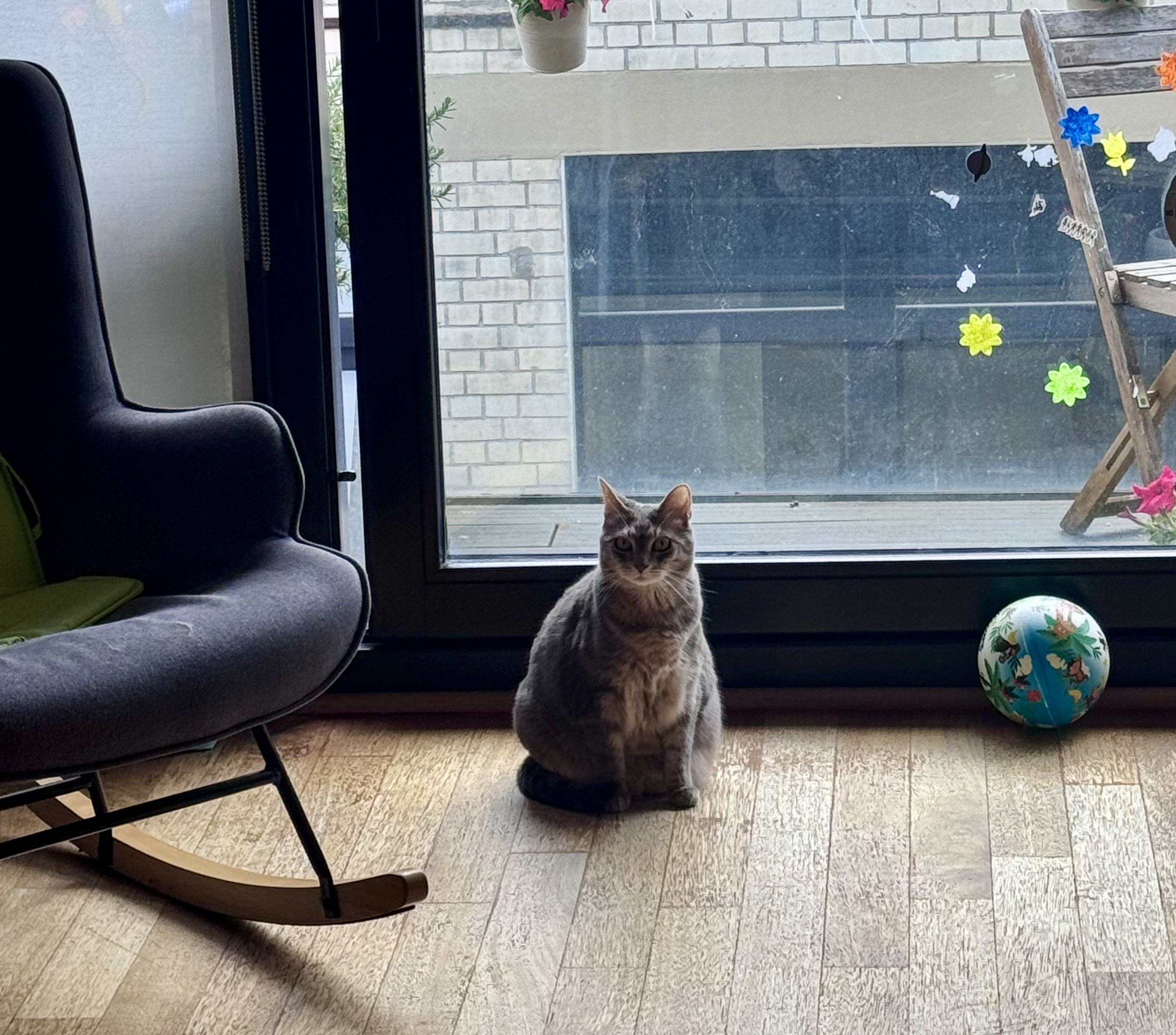 image-7