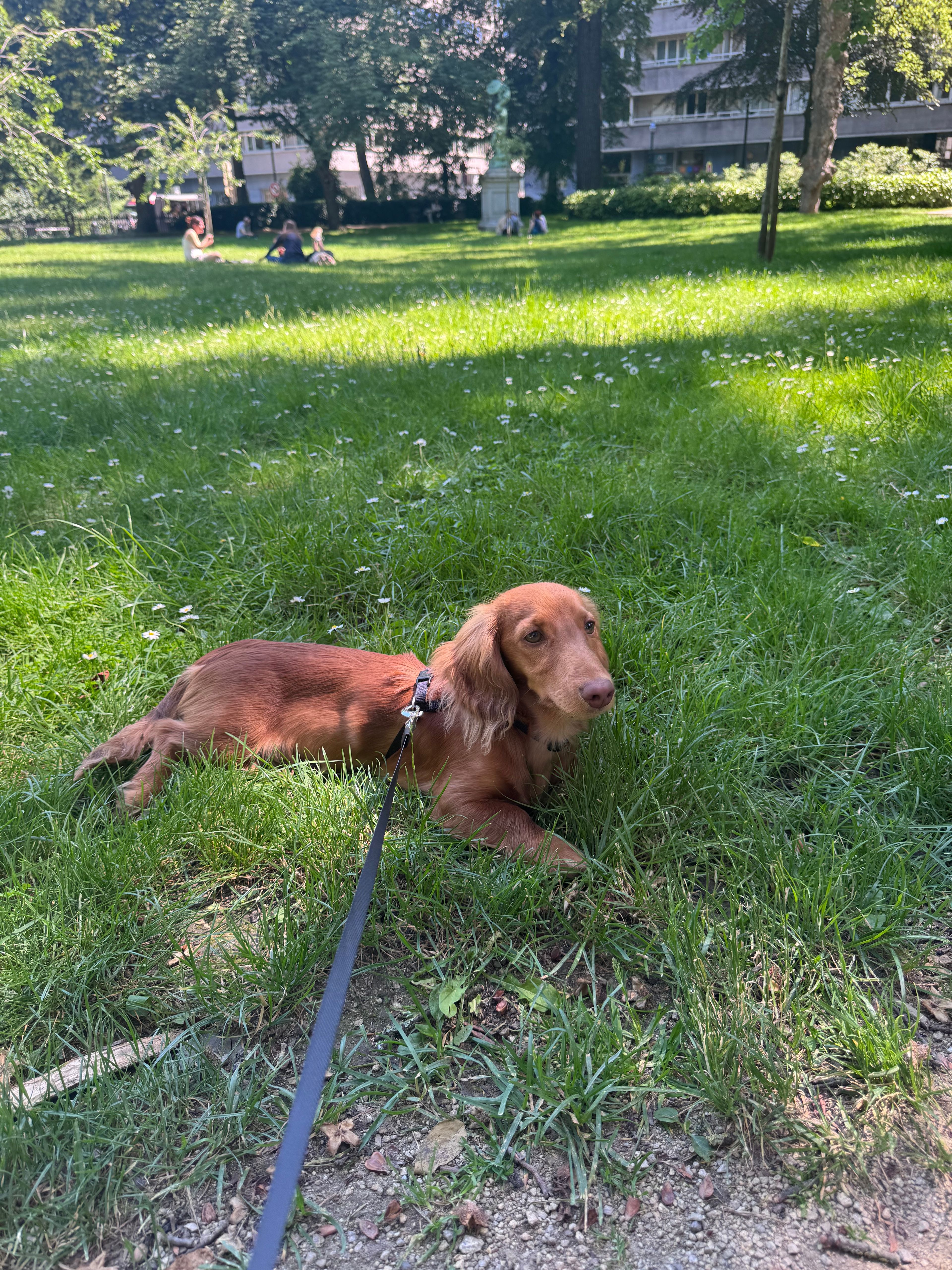 image-6