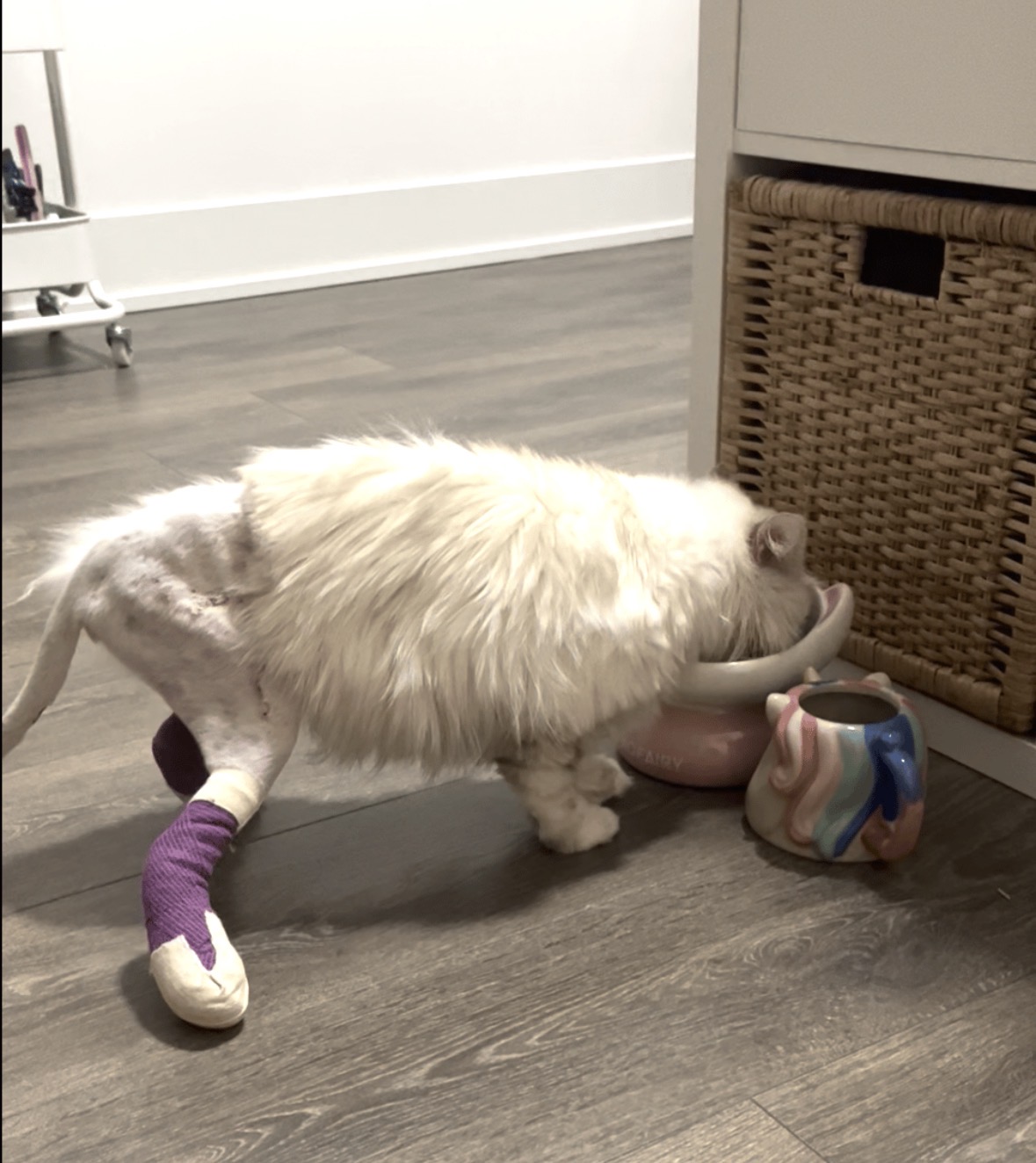 image-9