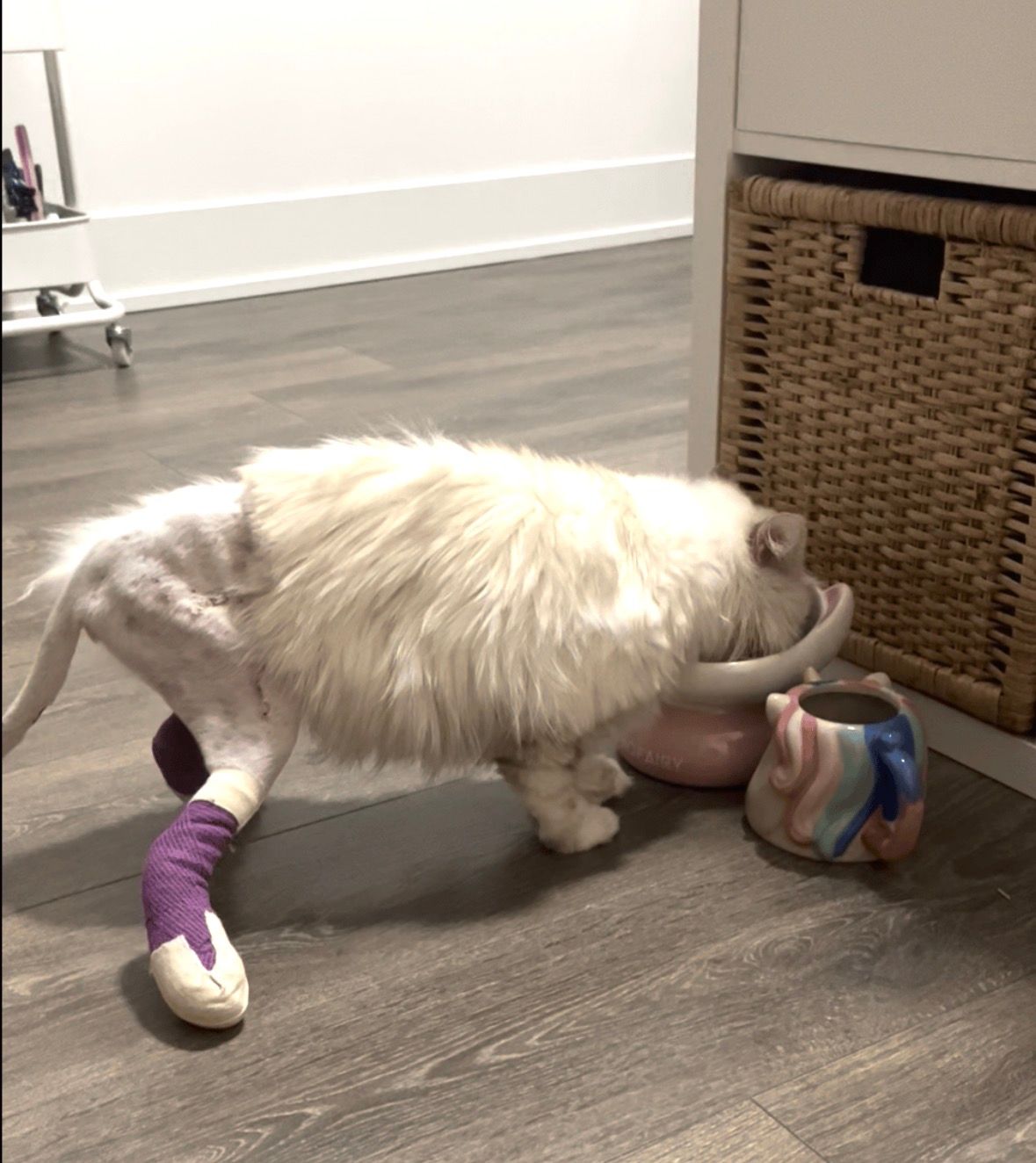 image-9