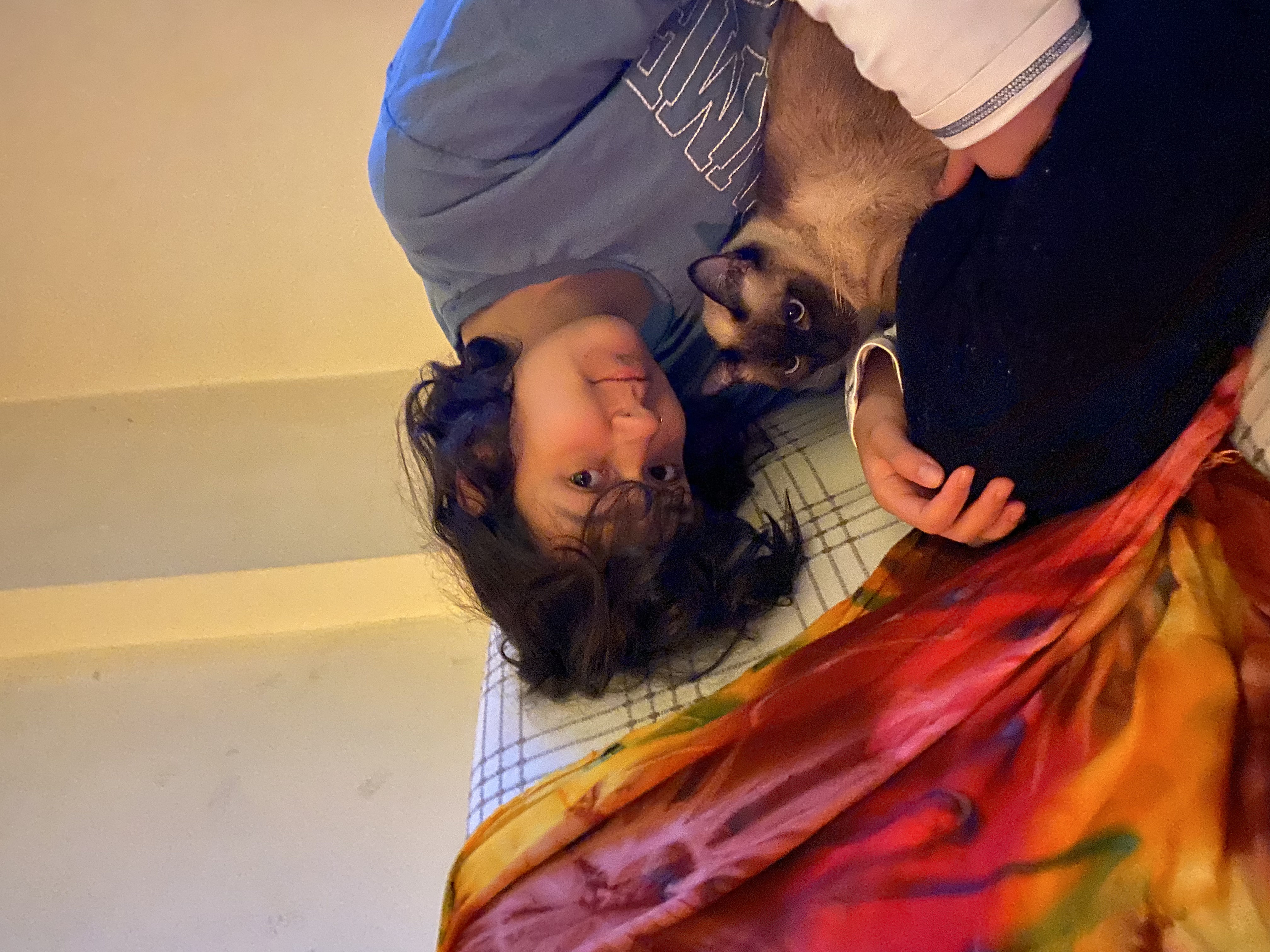 image-6