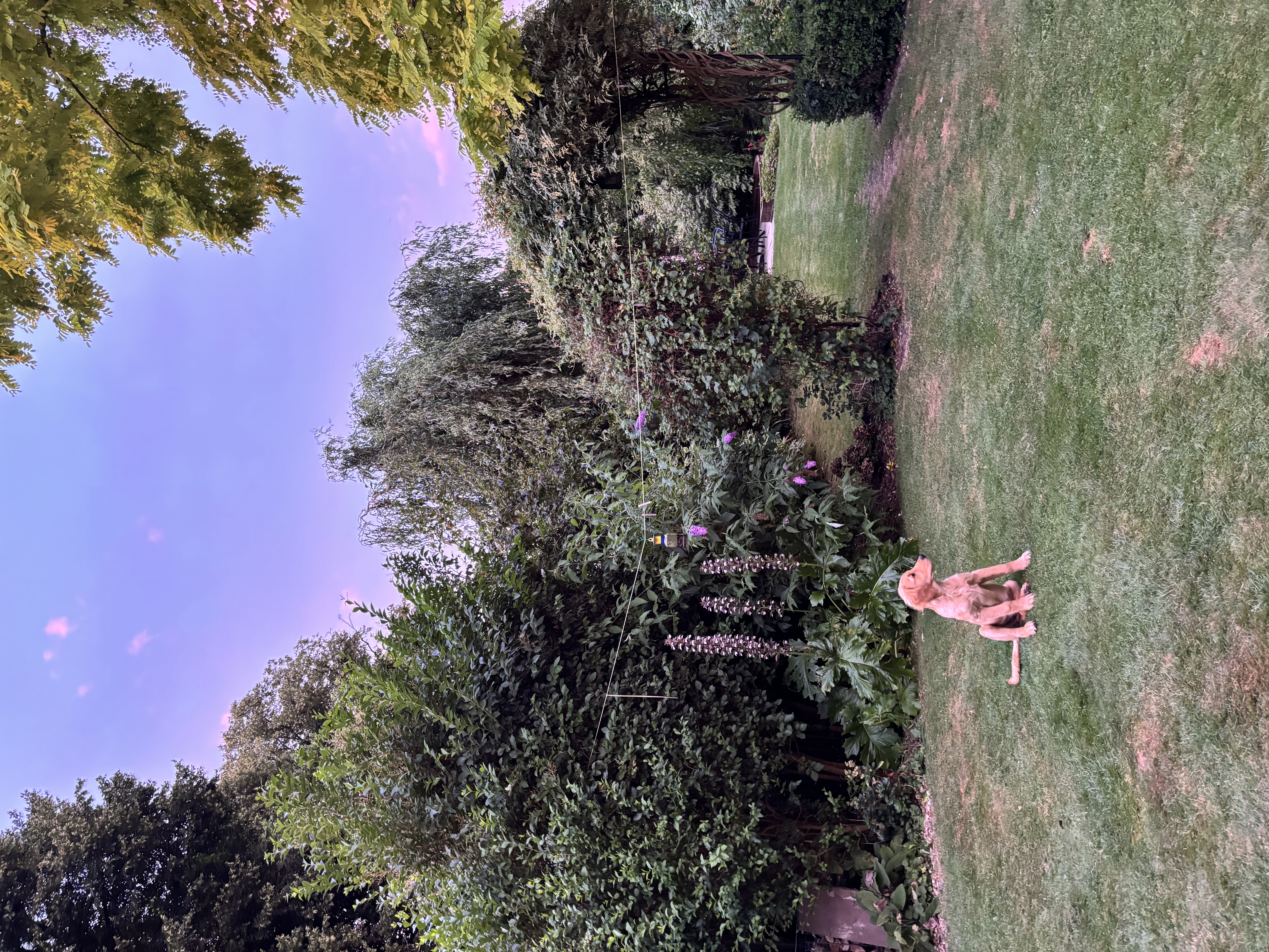image-13