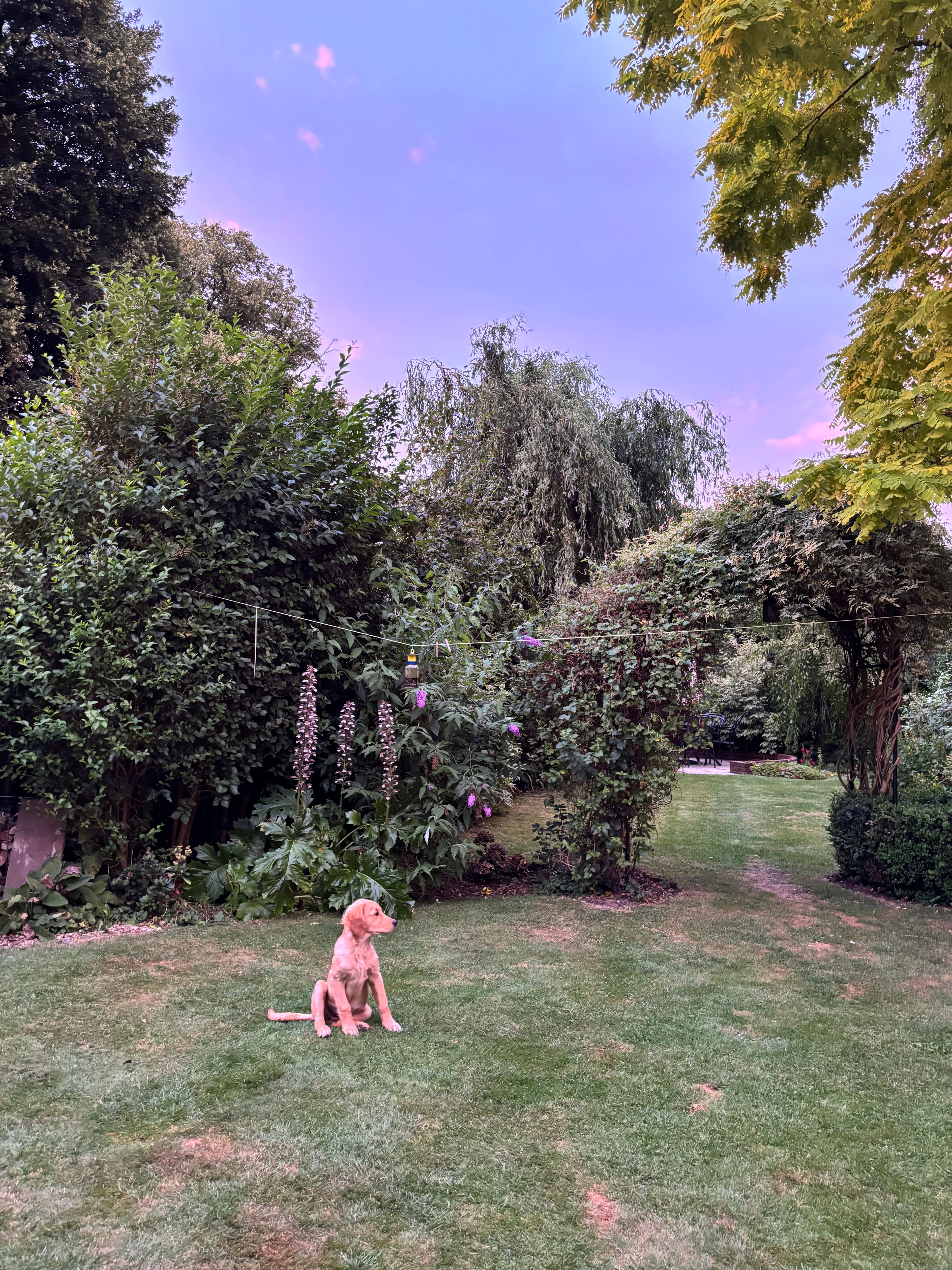 image-13
