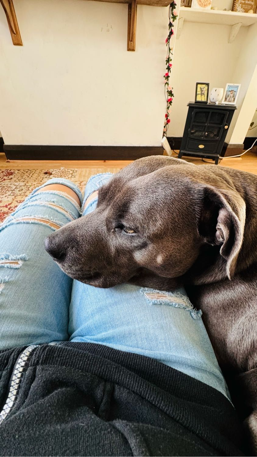 image-36