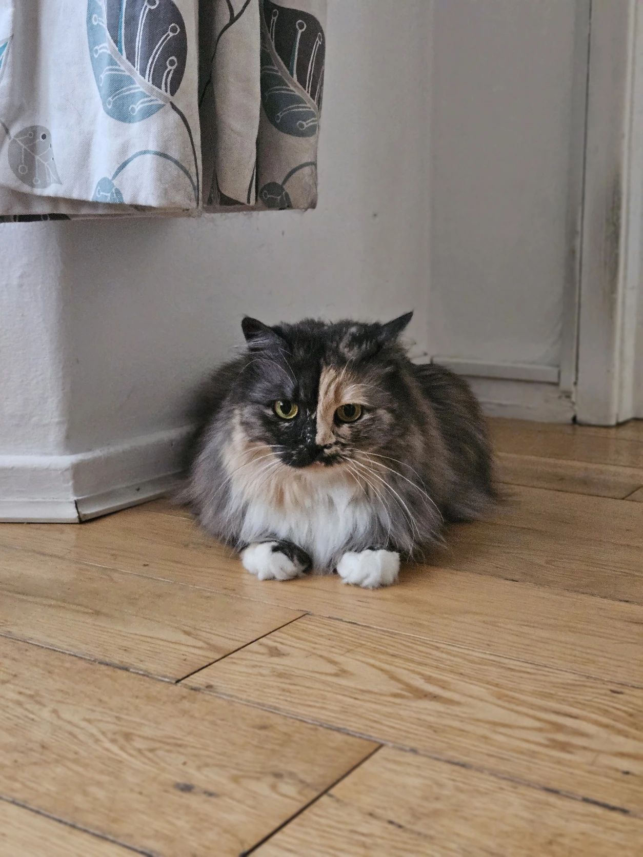 image-11