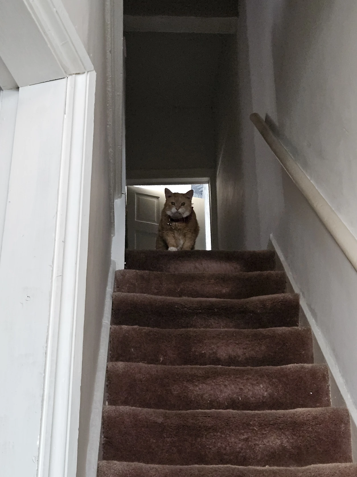 image-10