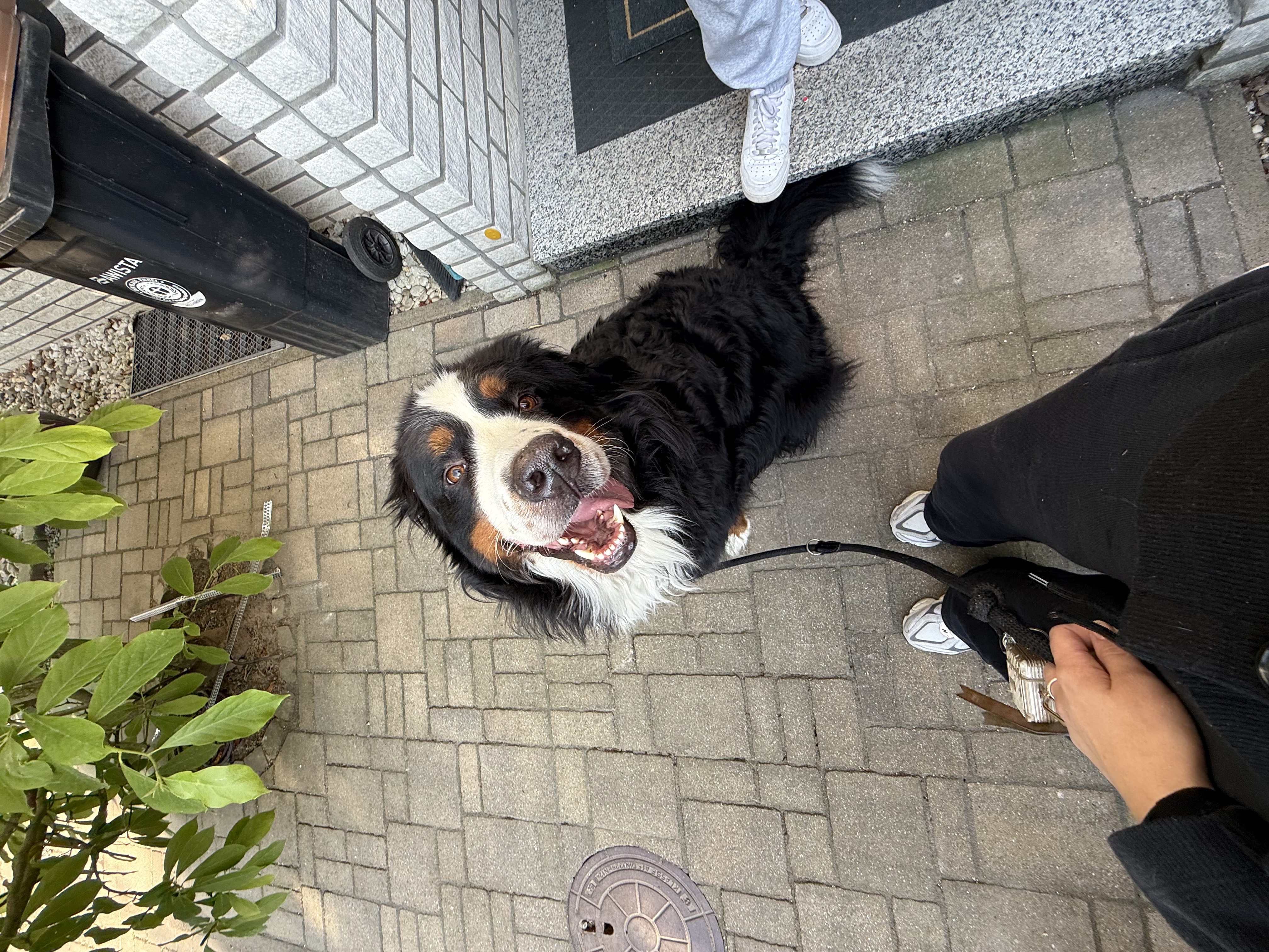 image-5