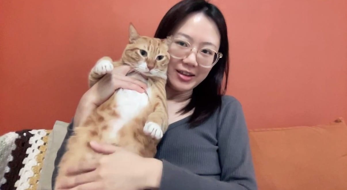 image-2