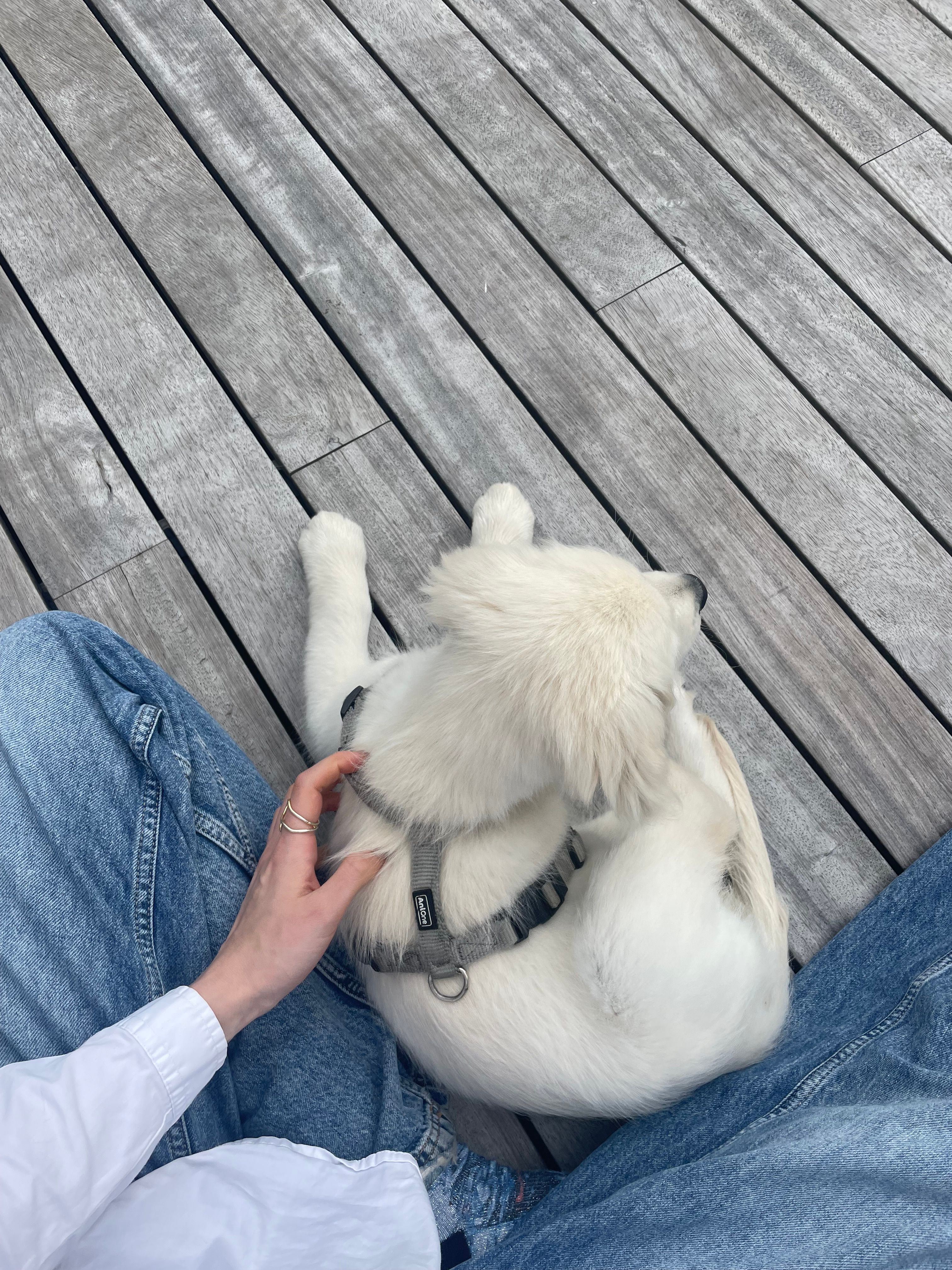 image-16