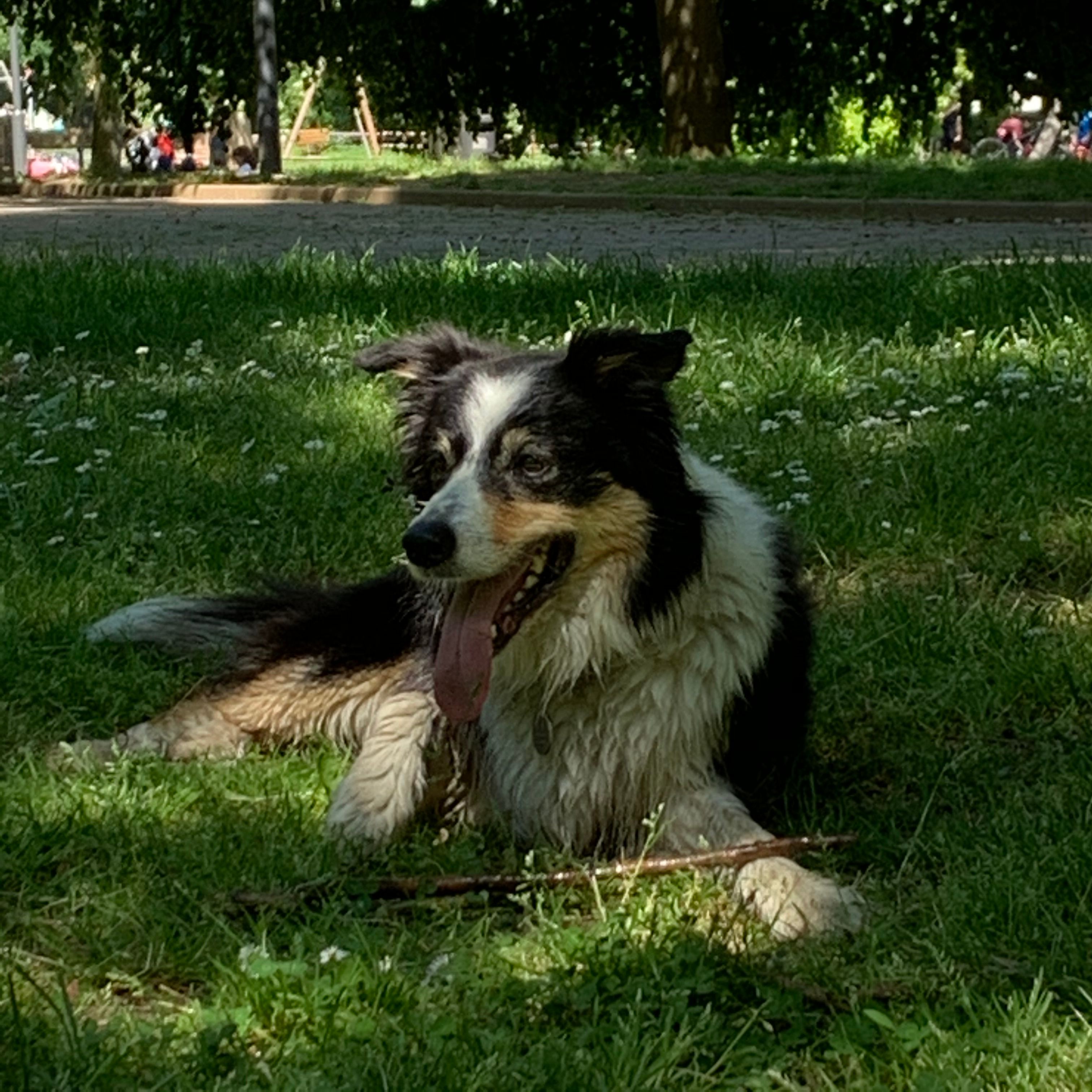 image-7