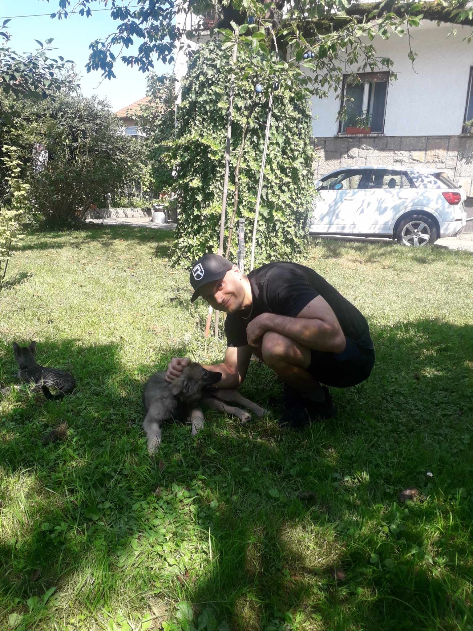 image-2