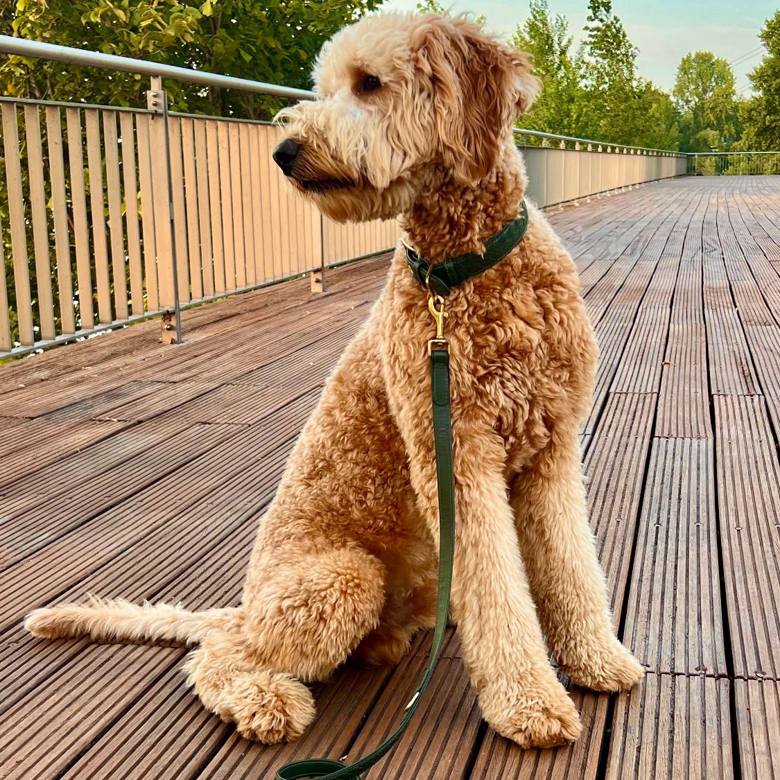 Marvin