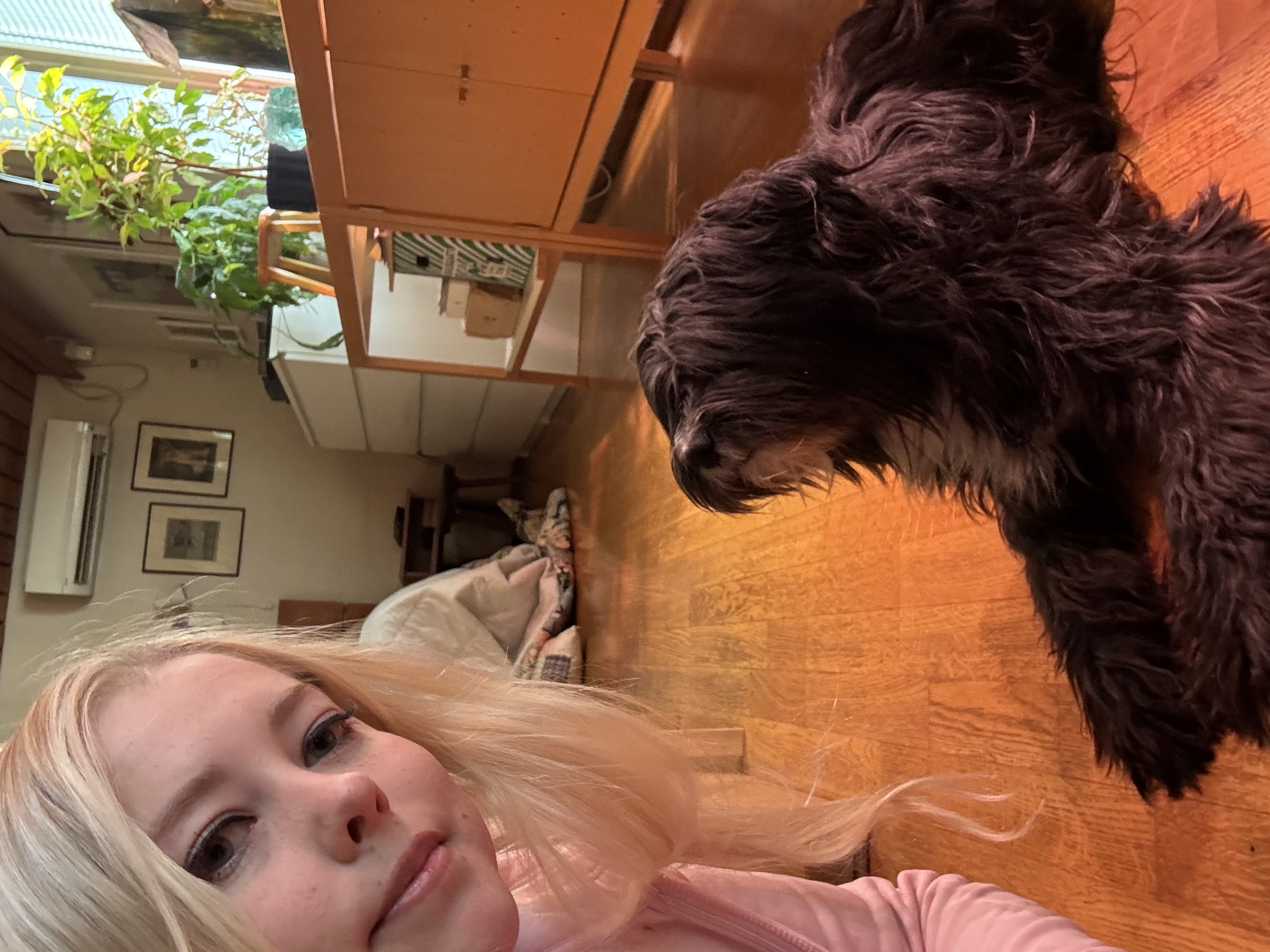 image-11
