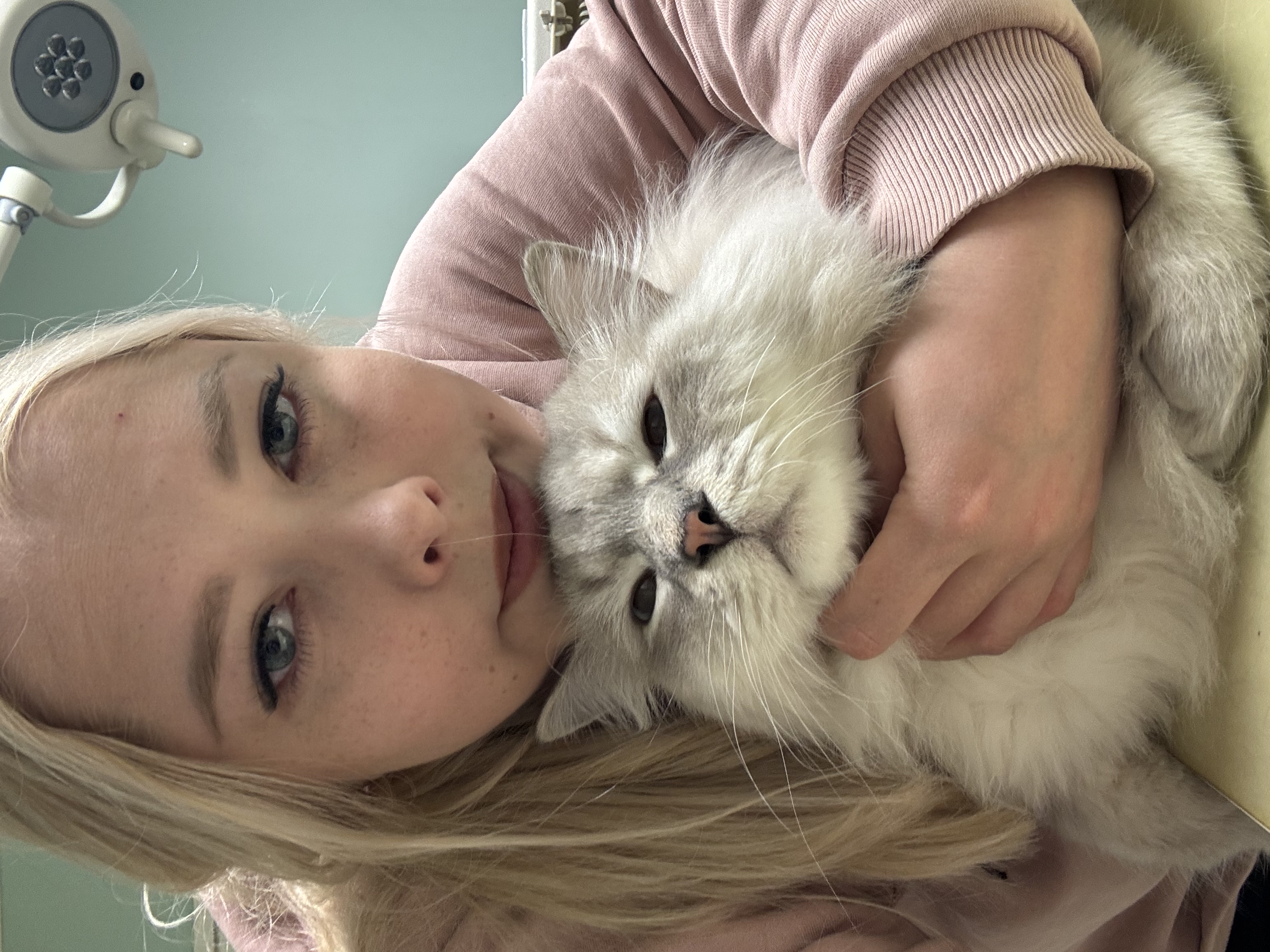 image-9