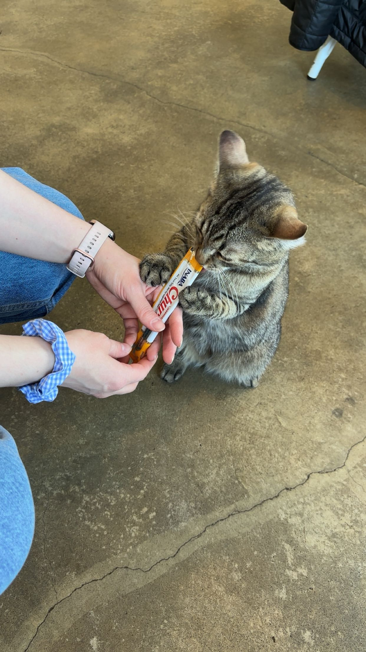 image-6