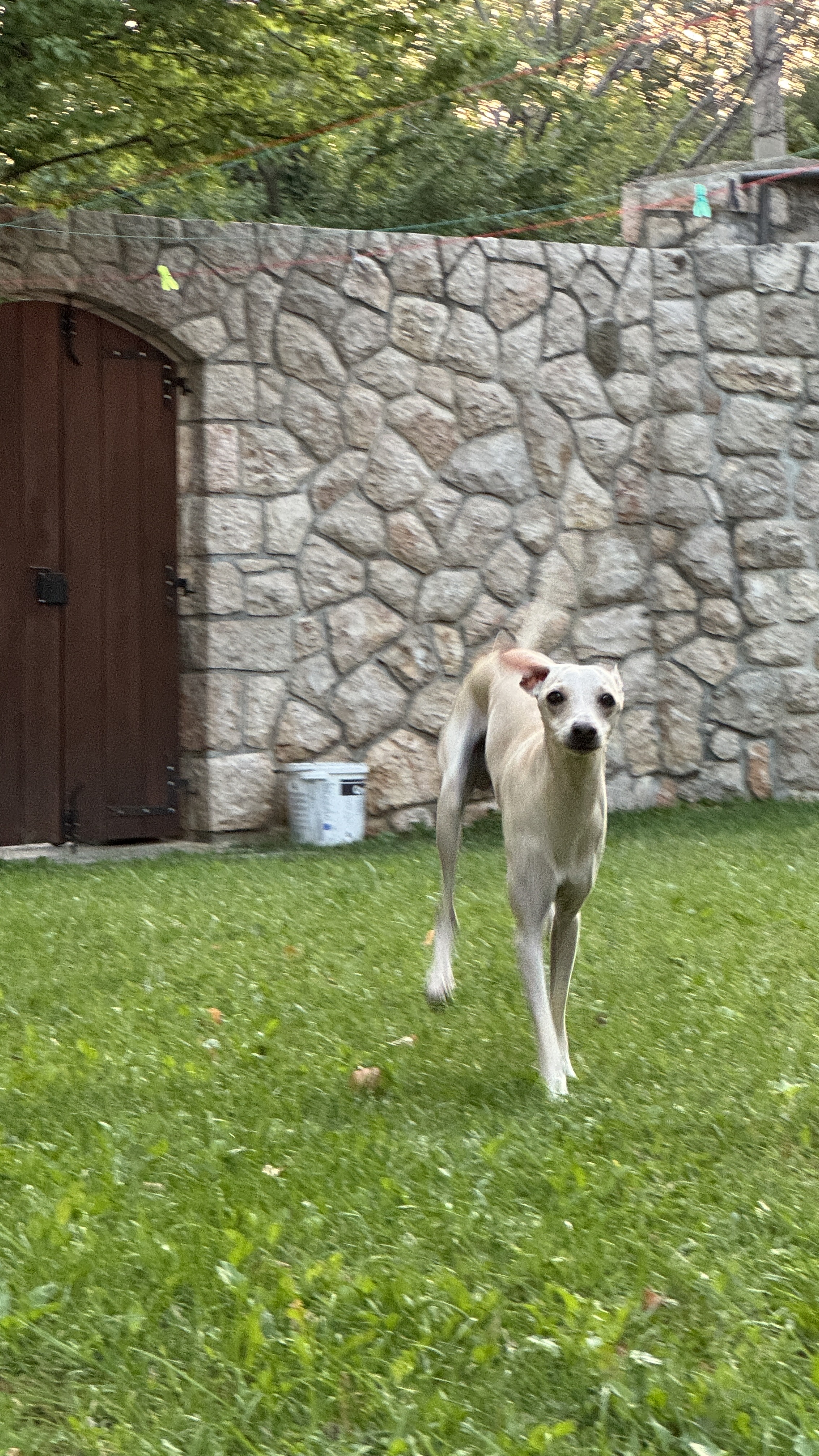 image-10