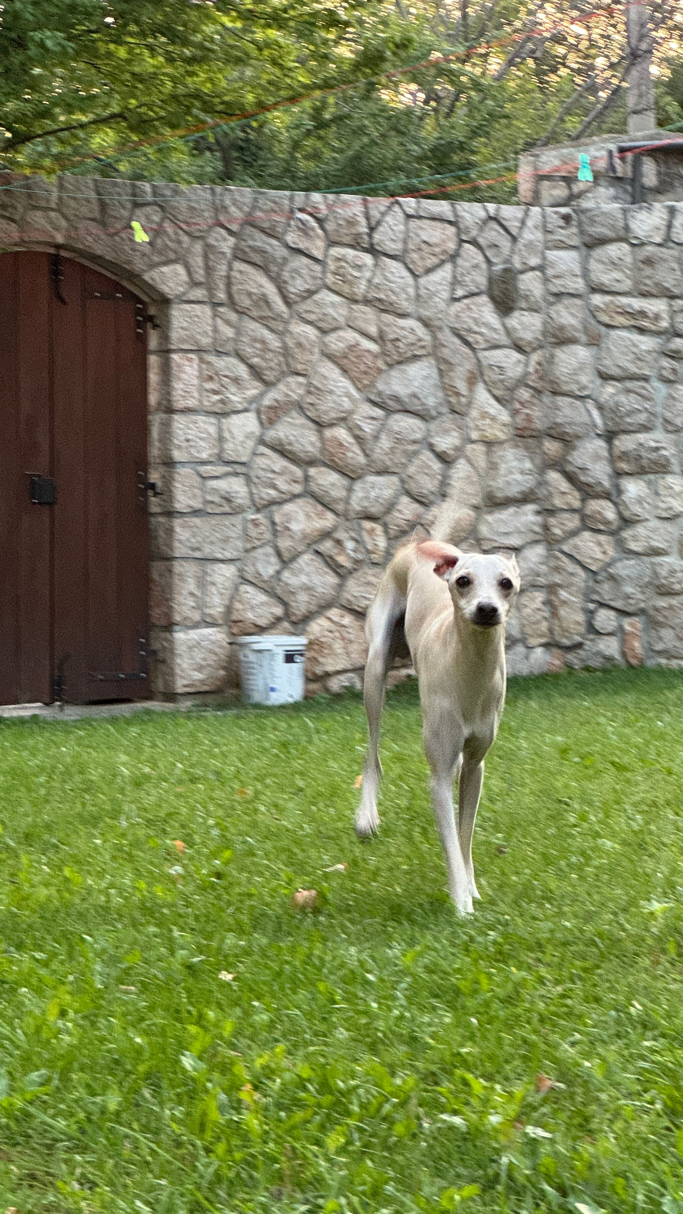 image-10