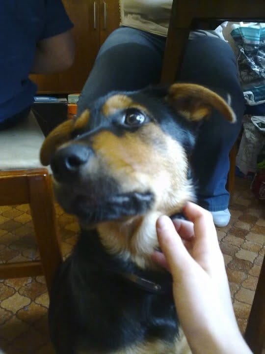 image-10
