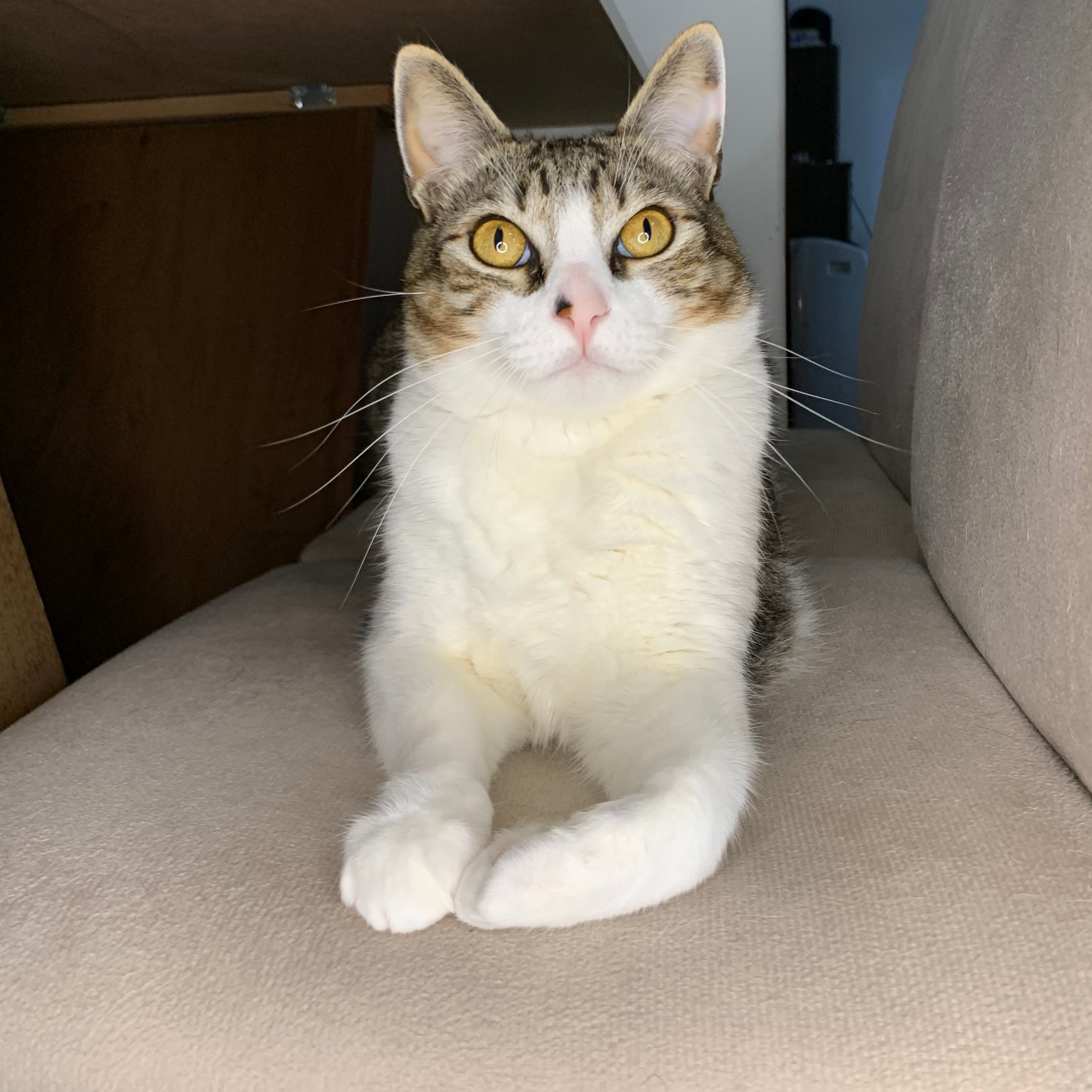 Zuko