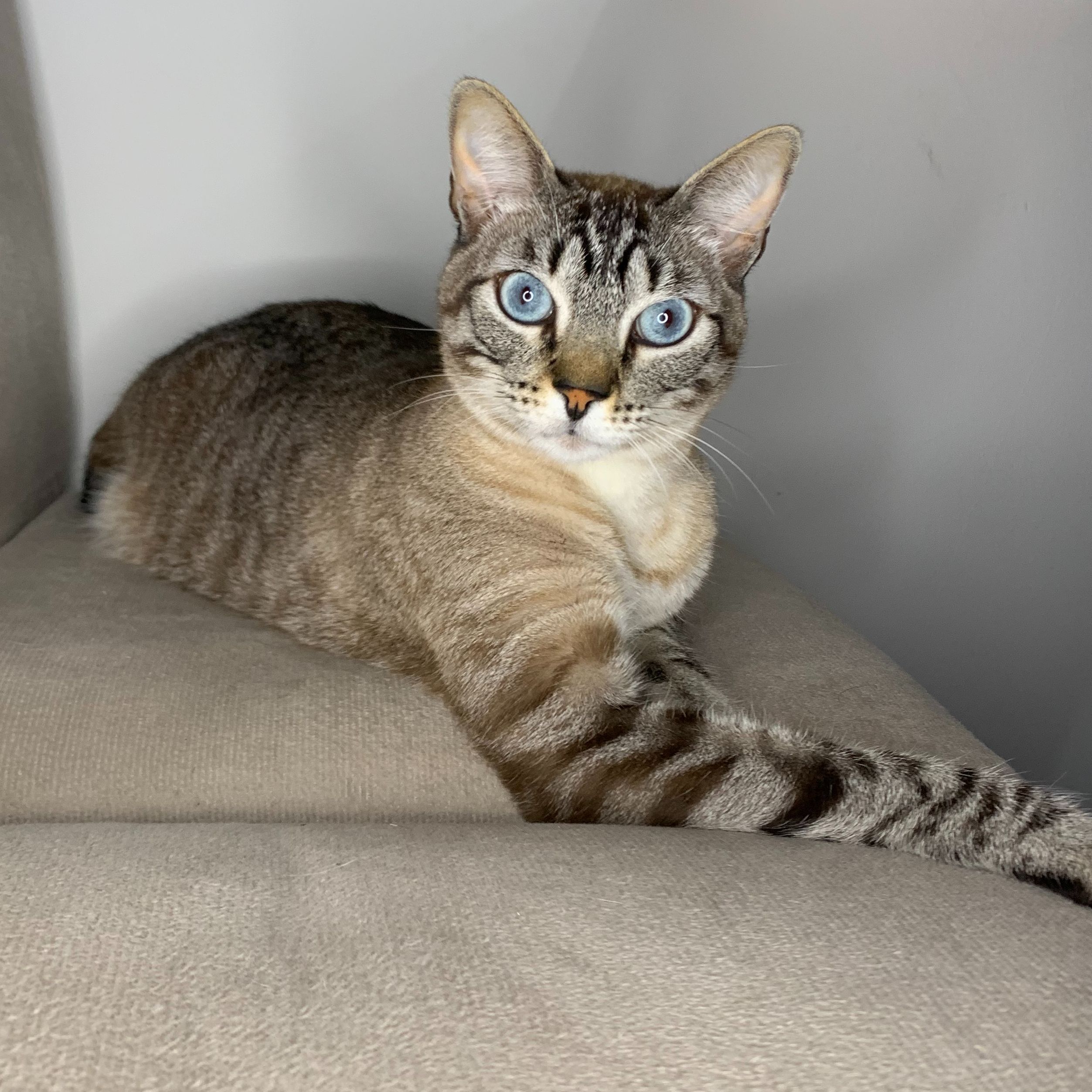 Luna