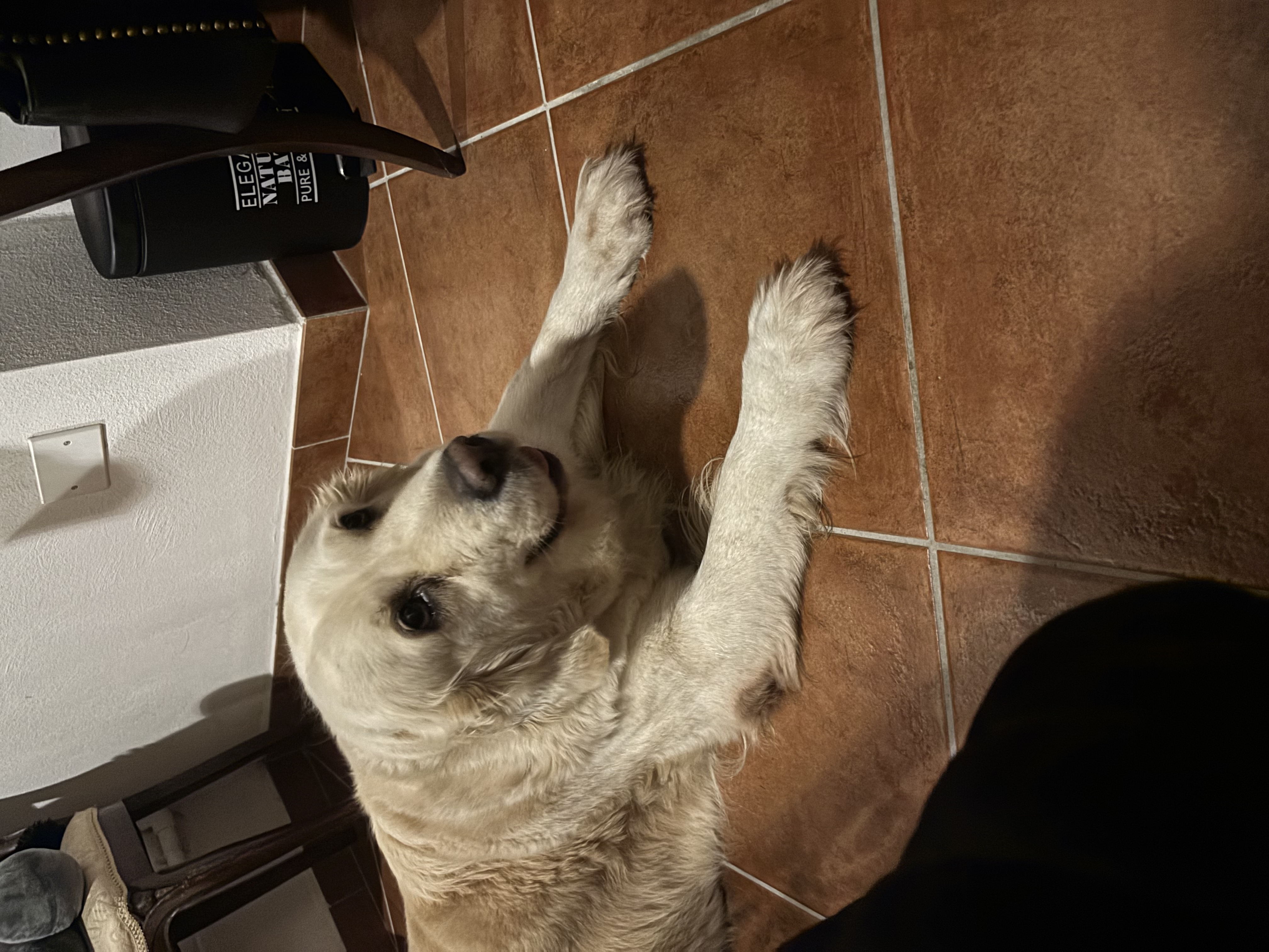 image-13