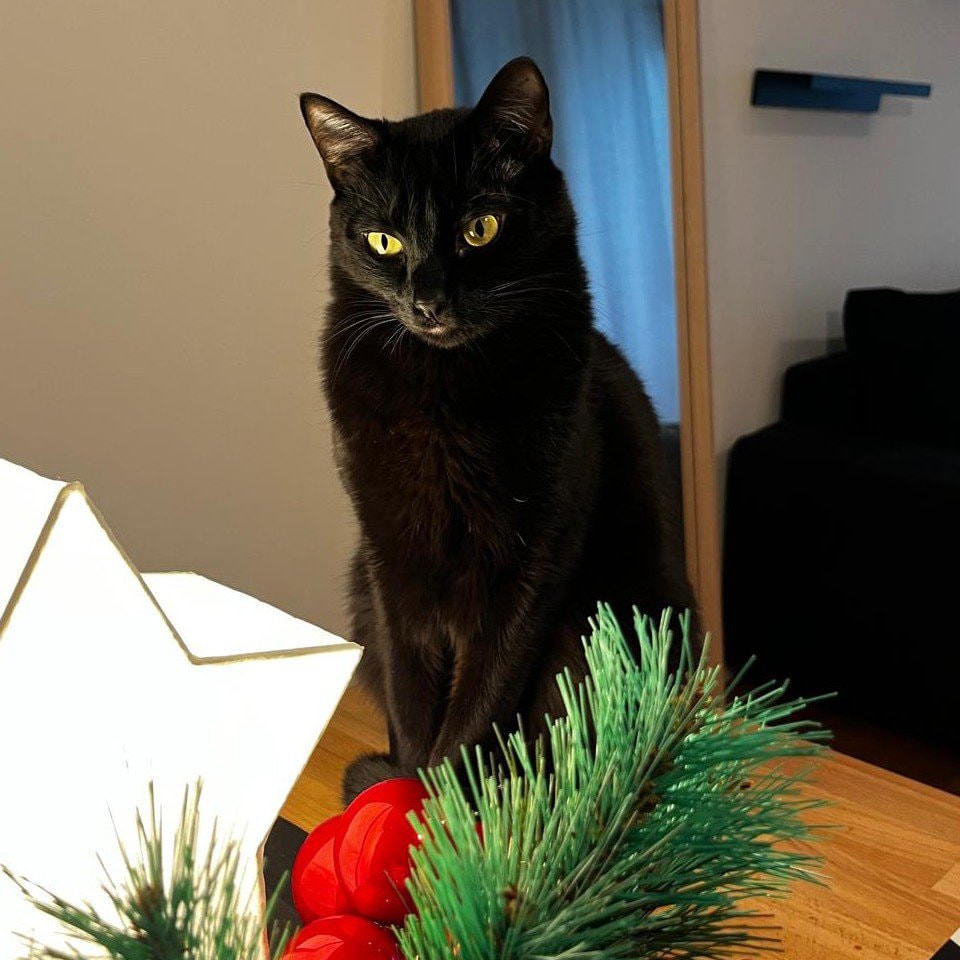 Tom