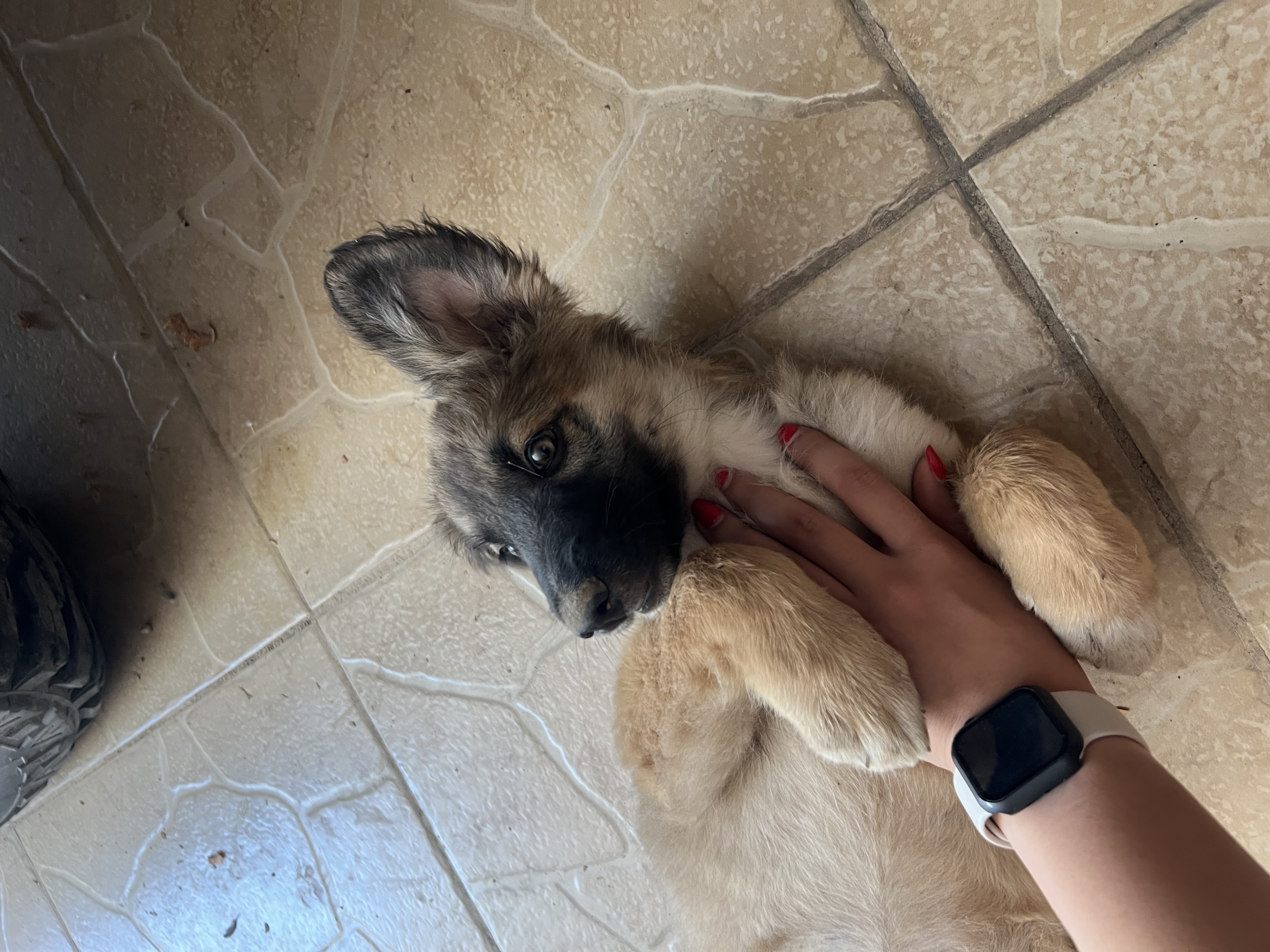 image-3