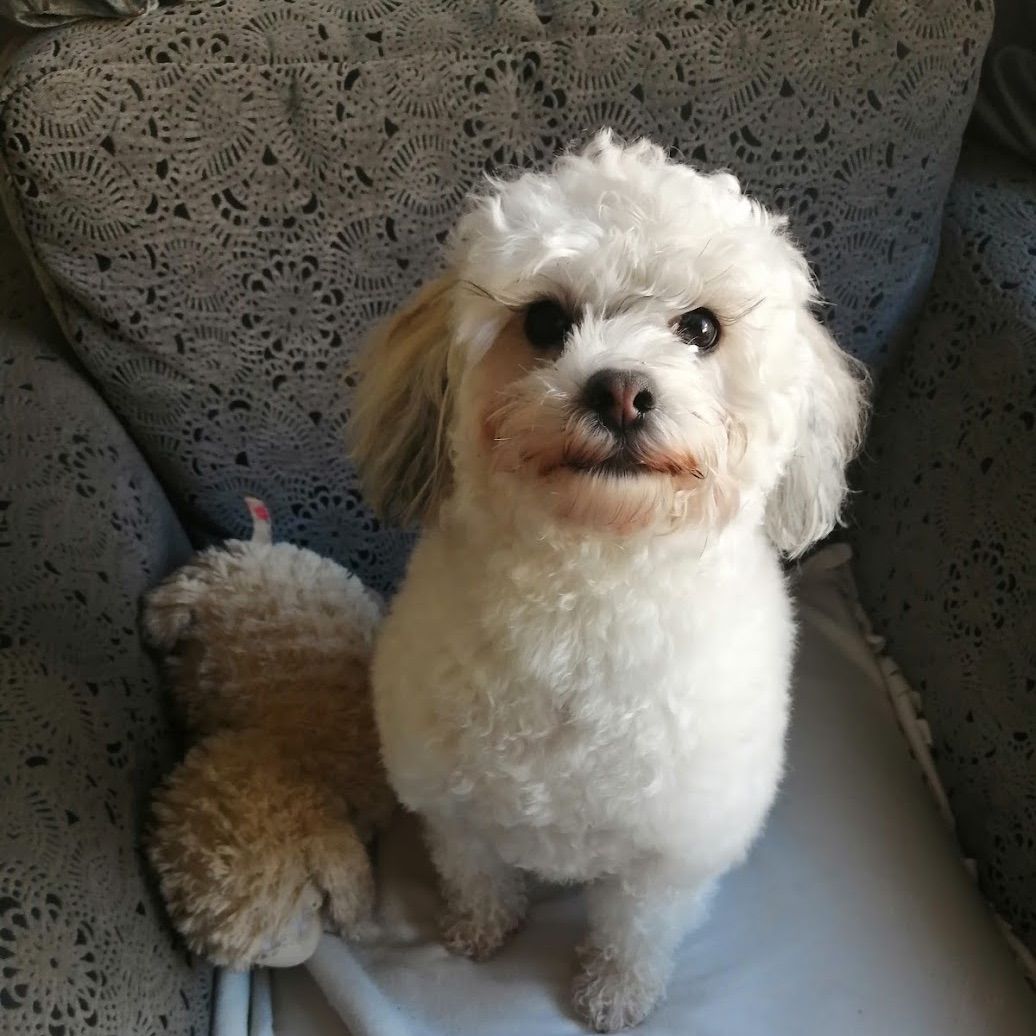 Winnie
