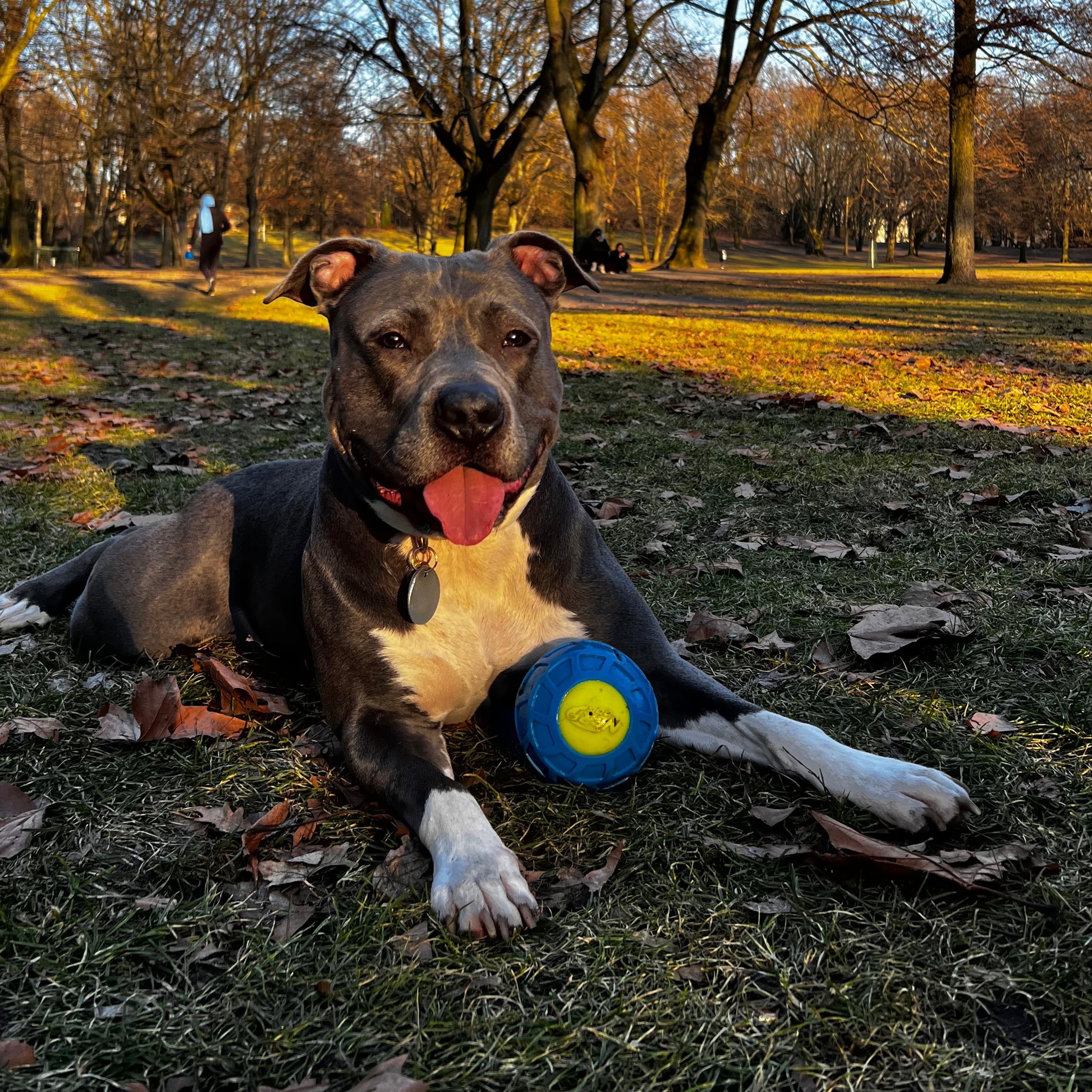 Luna