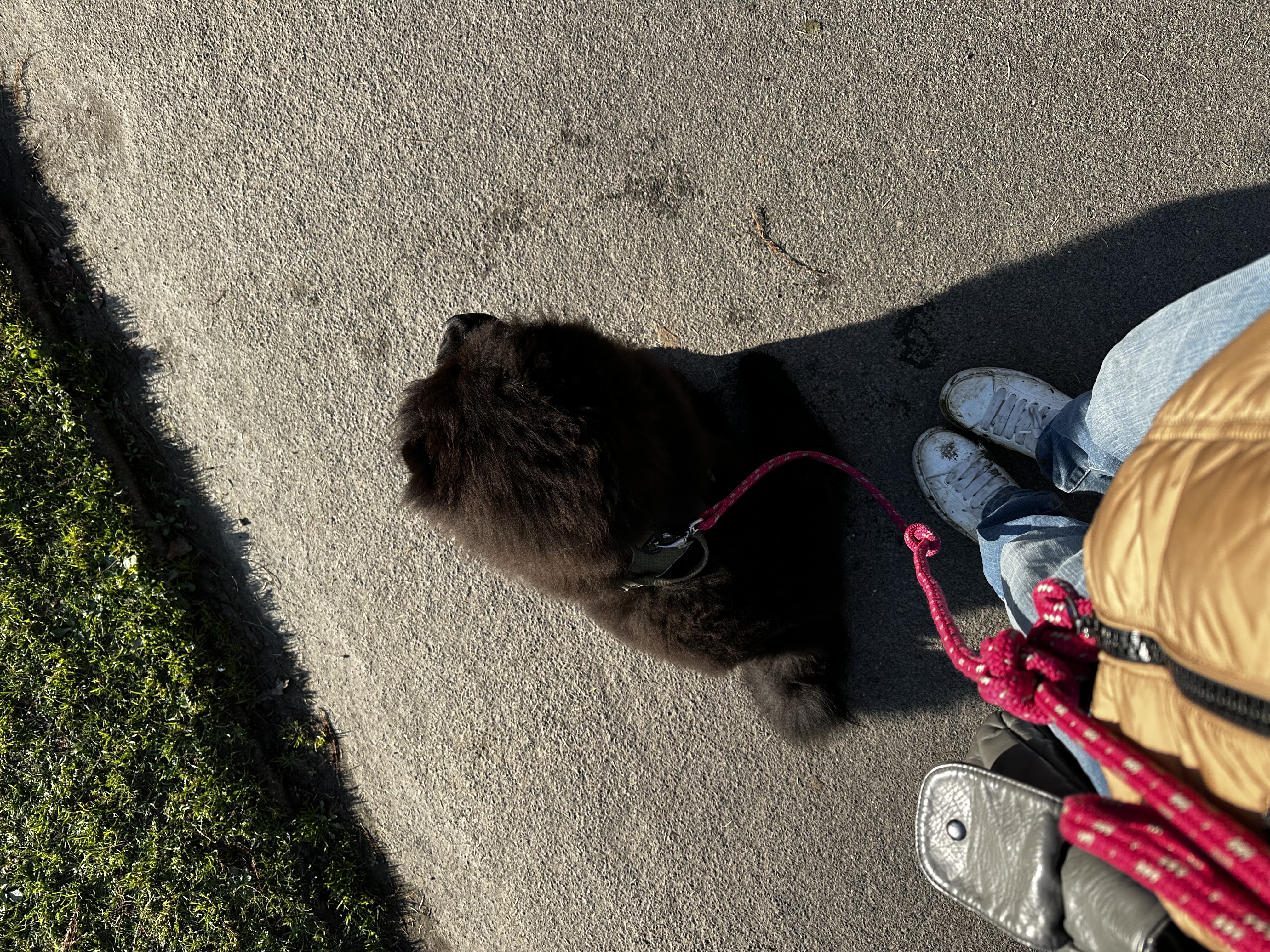 image-8