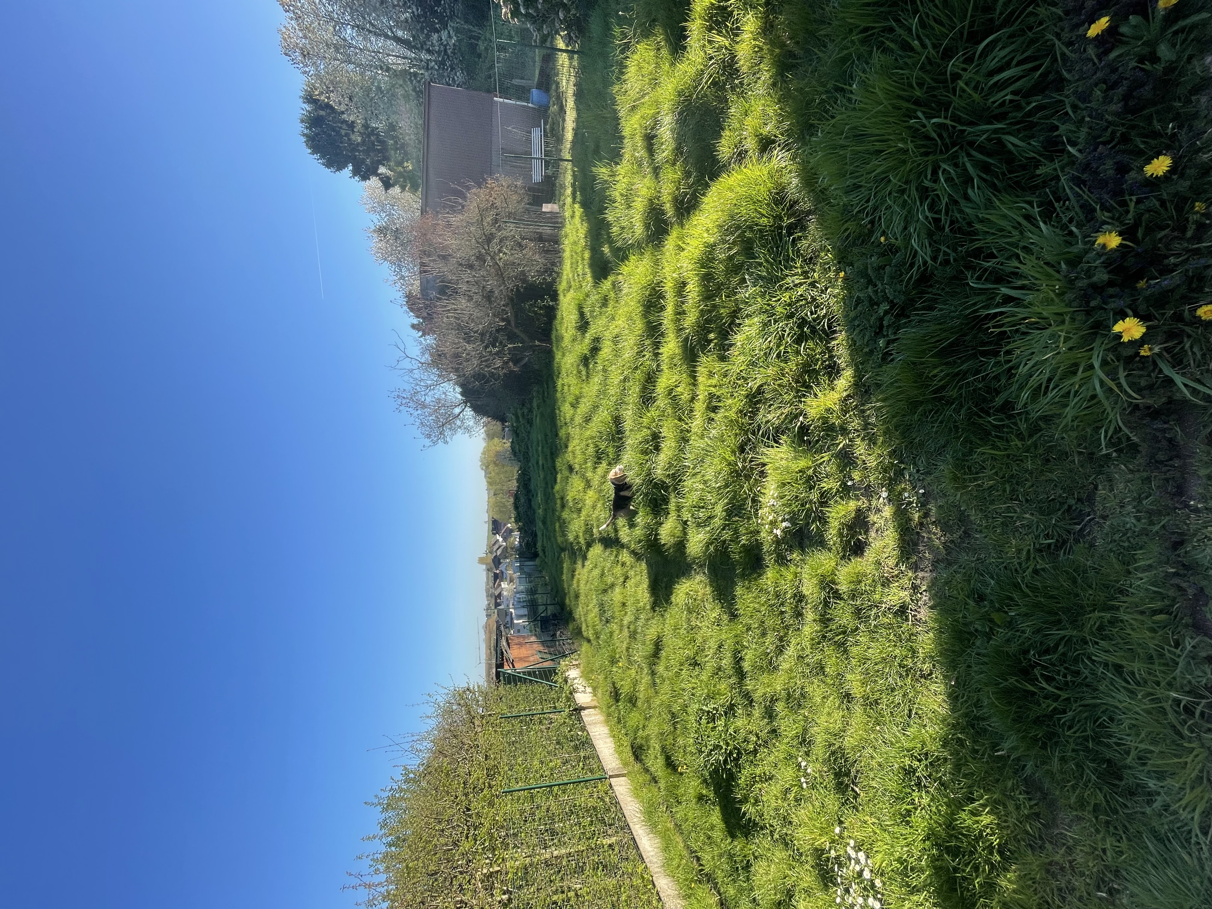 image-14