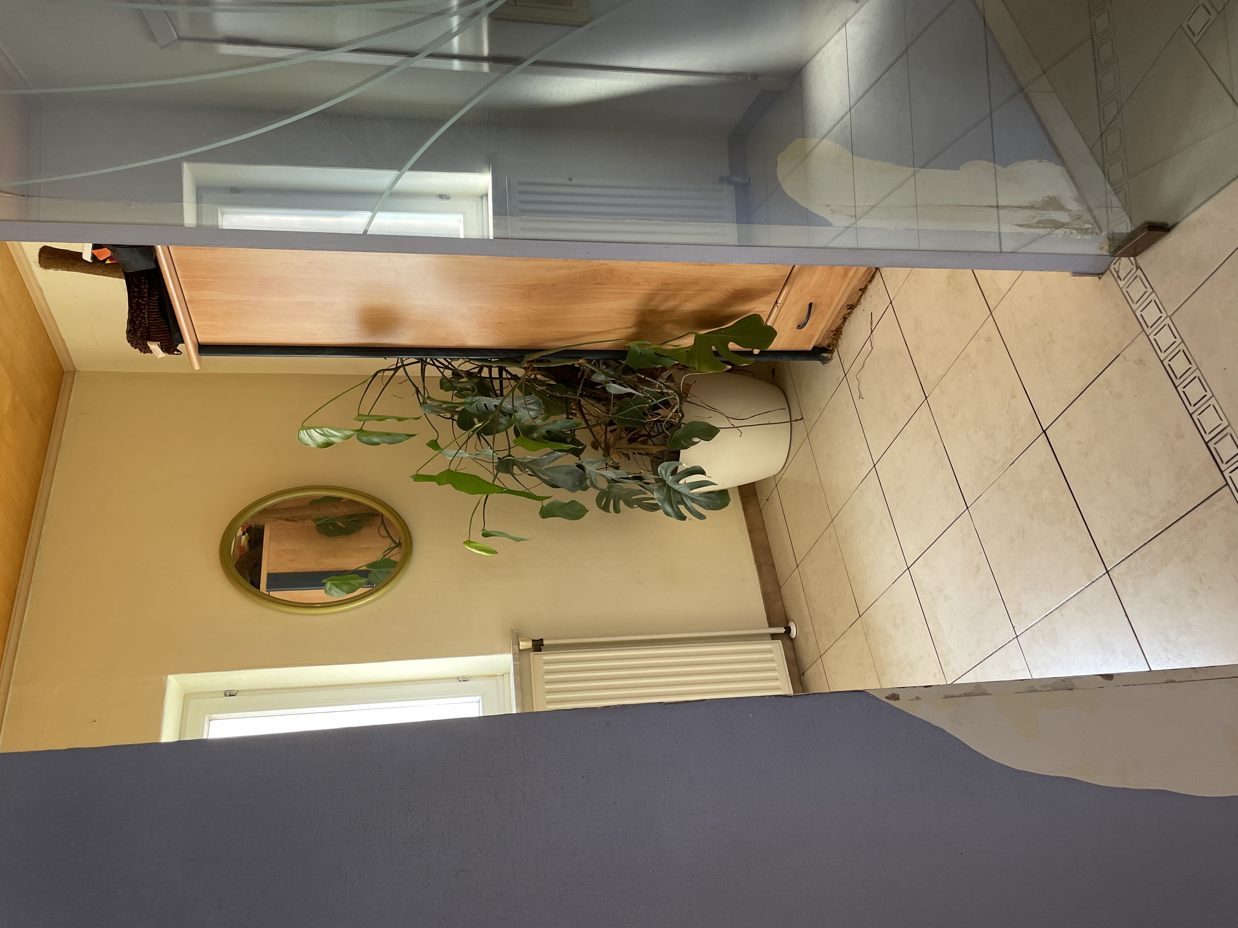 image-20