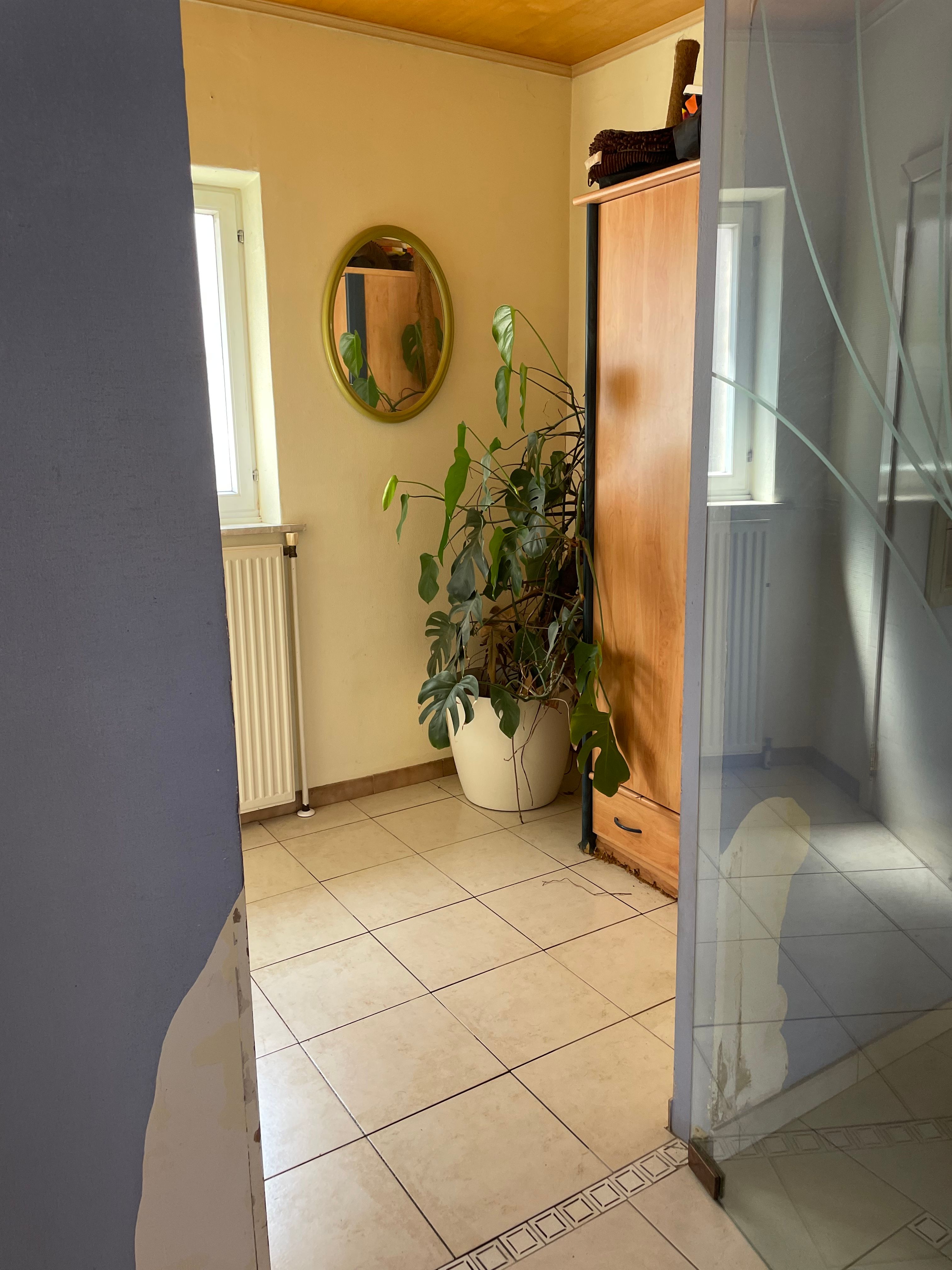 image-20