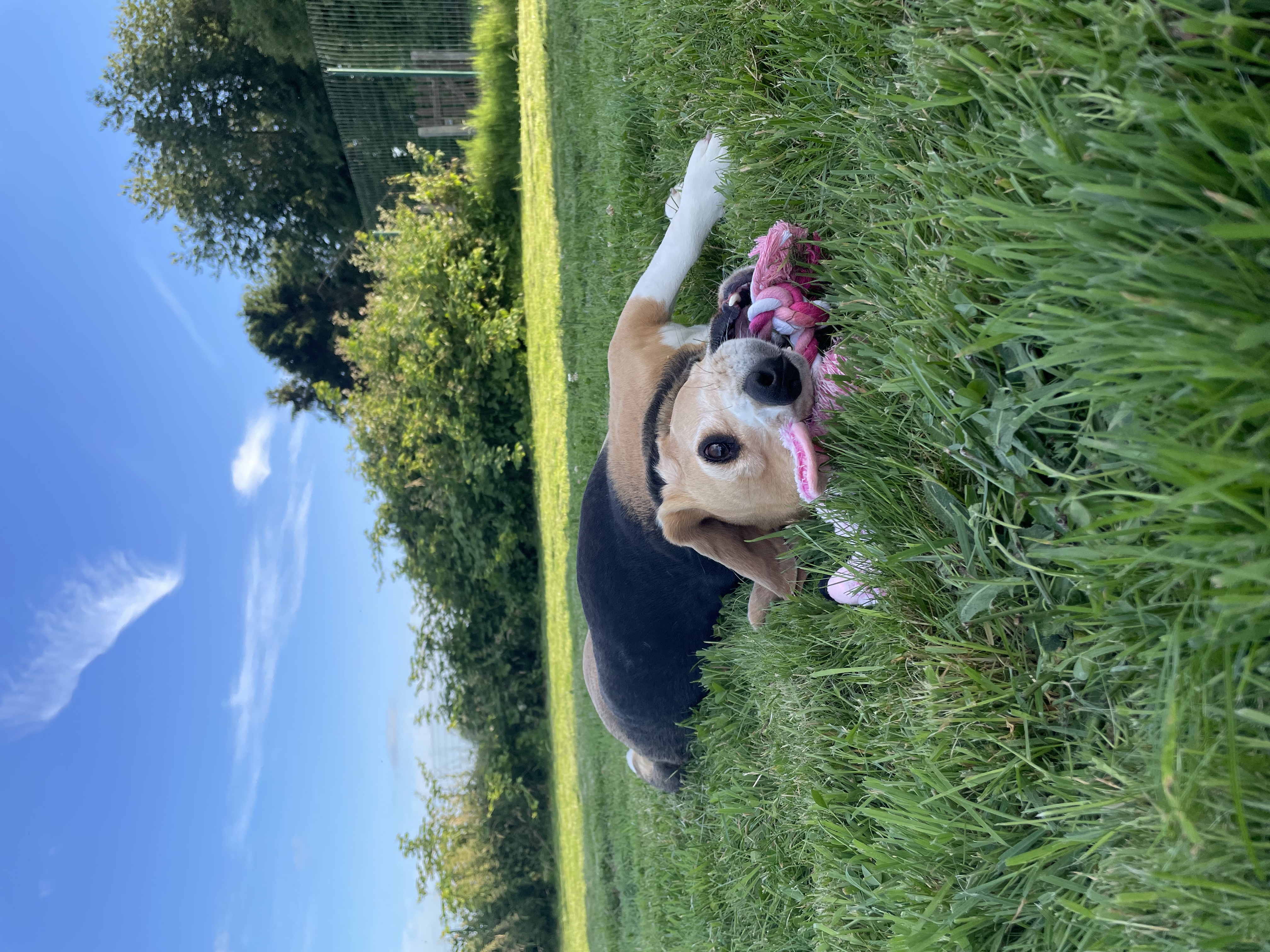 image-15