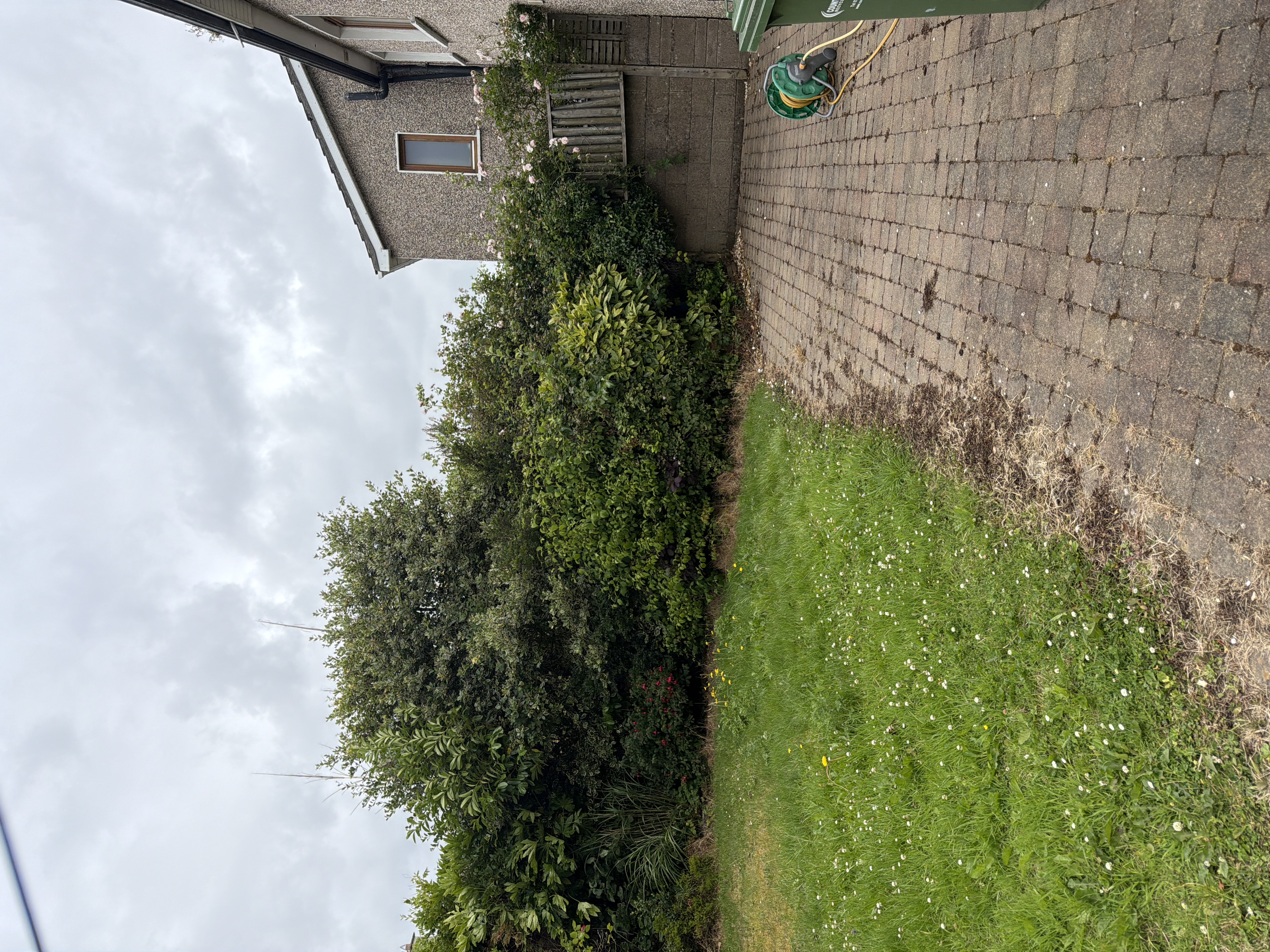 image-15