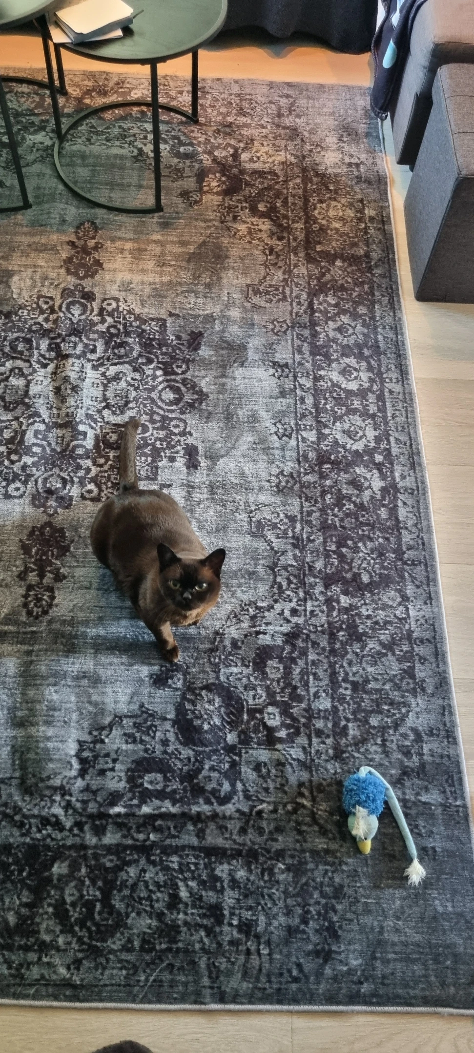 image-16
