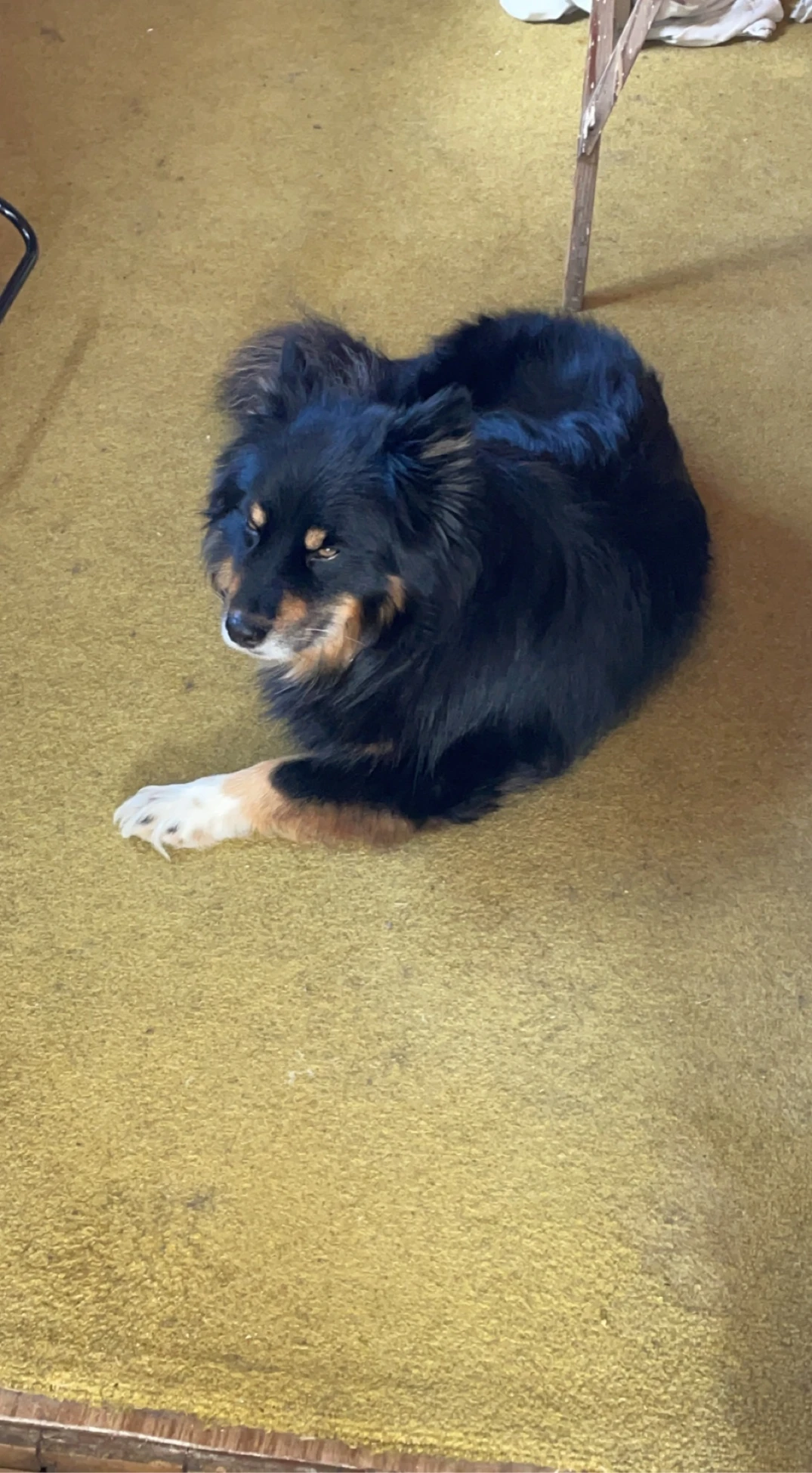 image-9