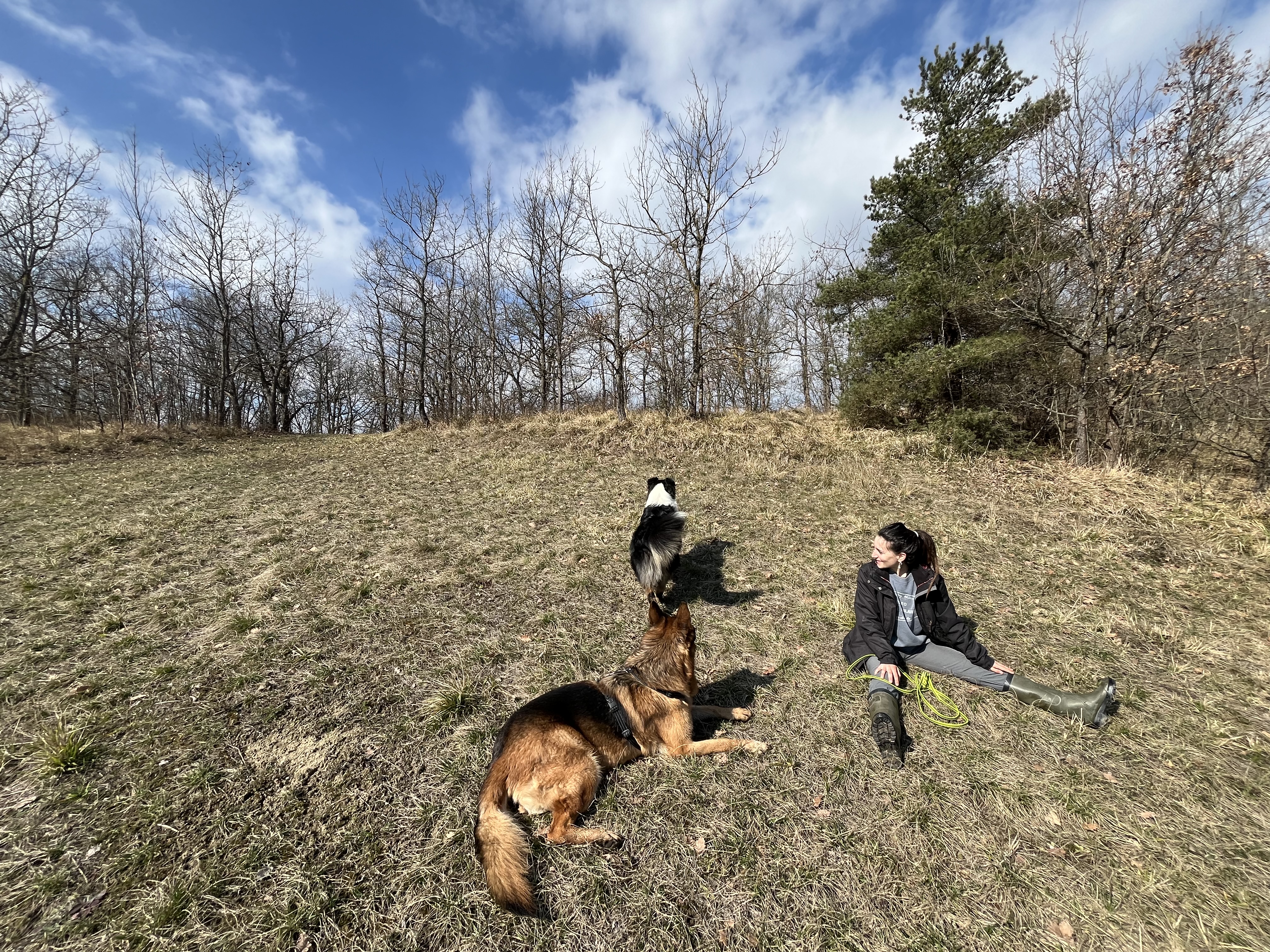 image-12