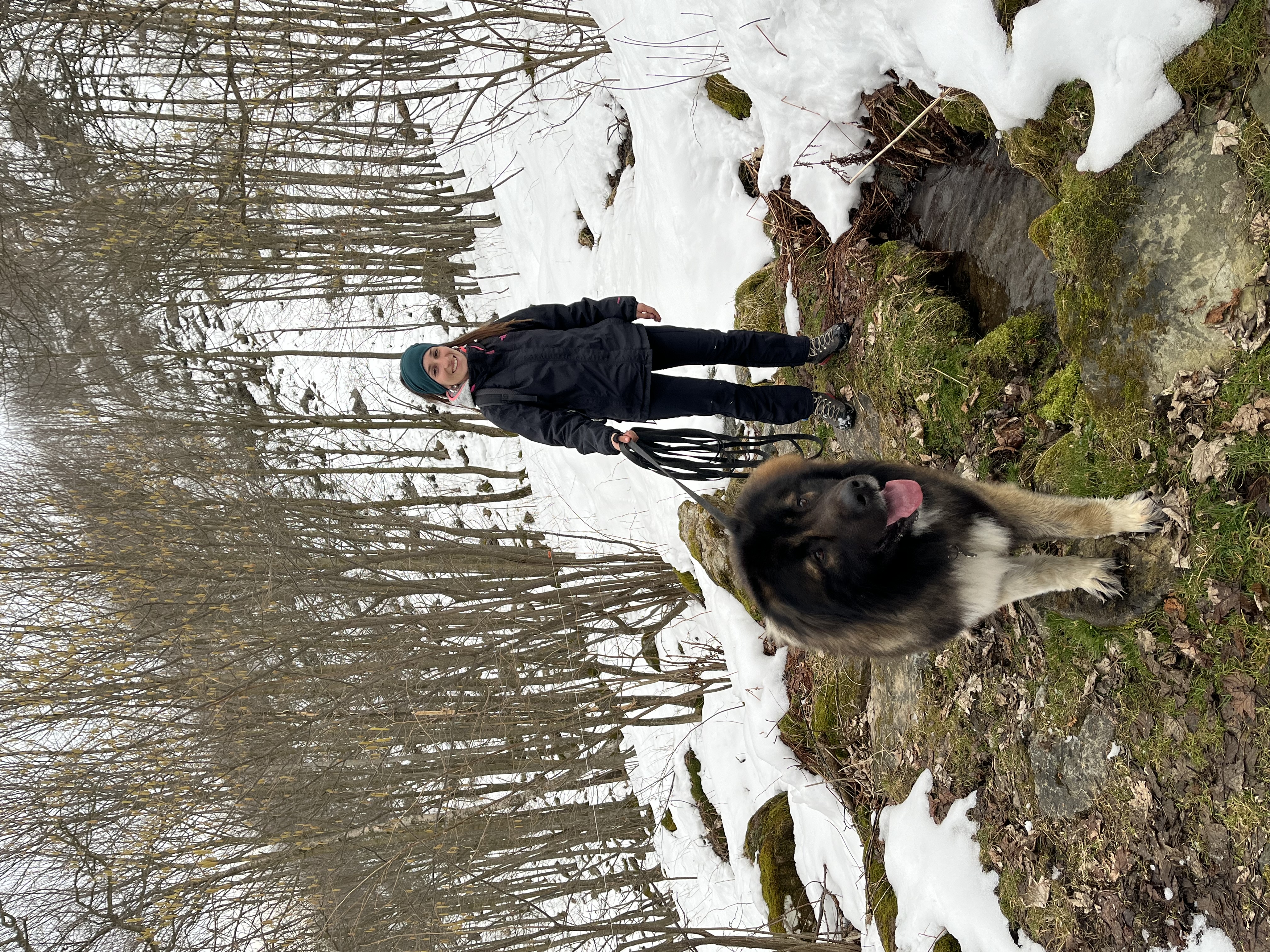 image-15