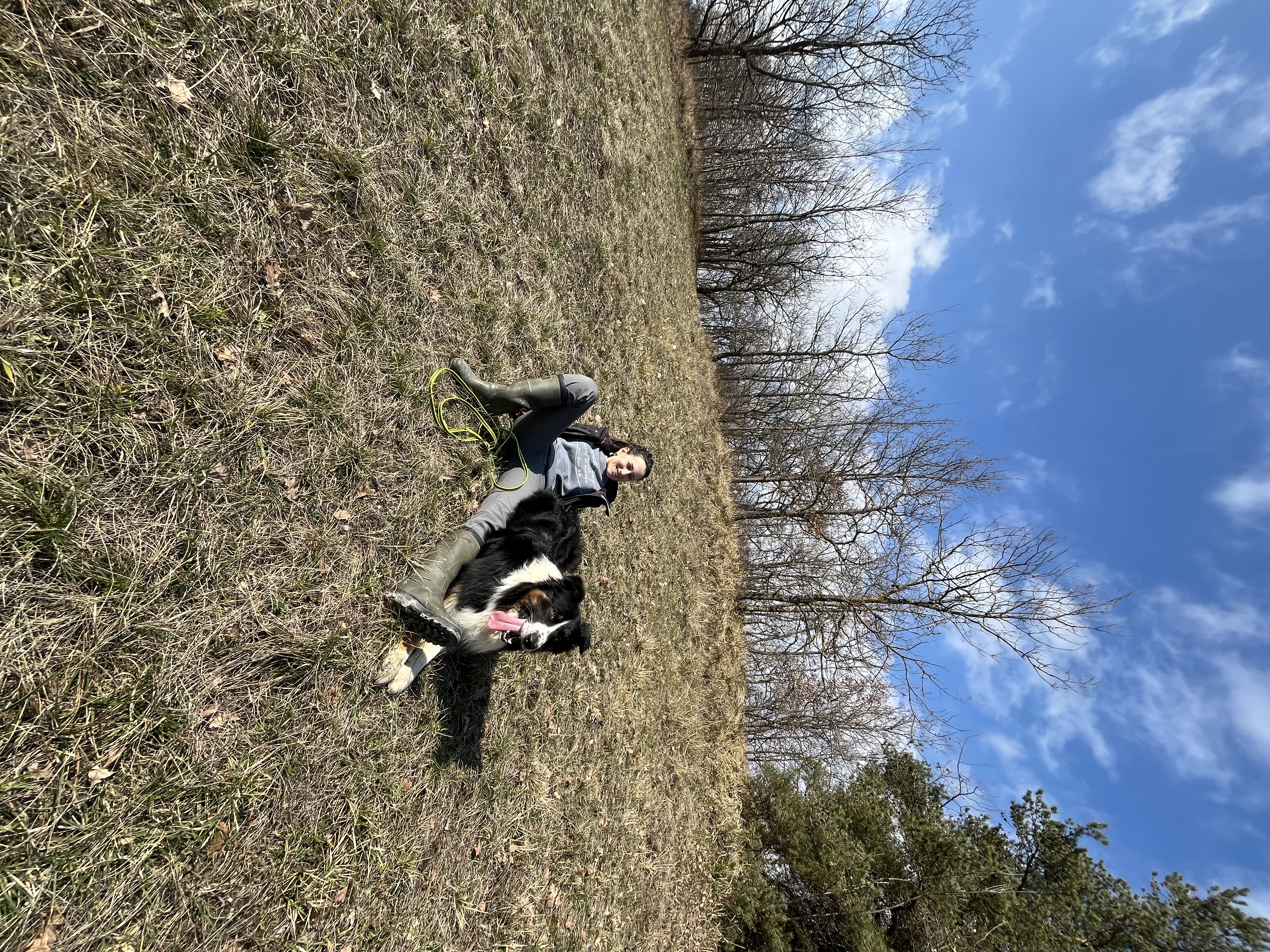 image-13