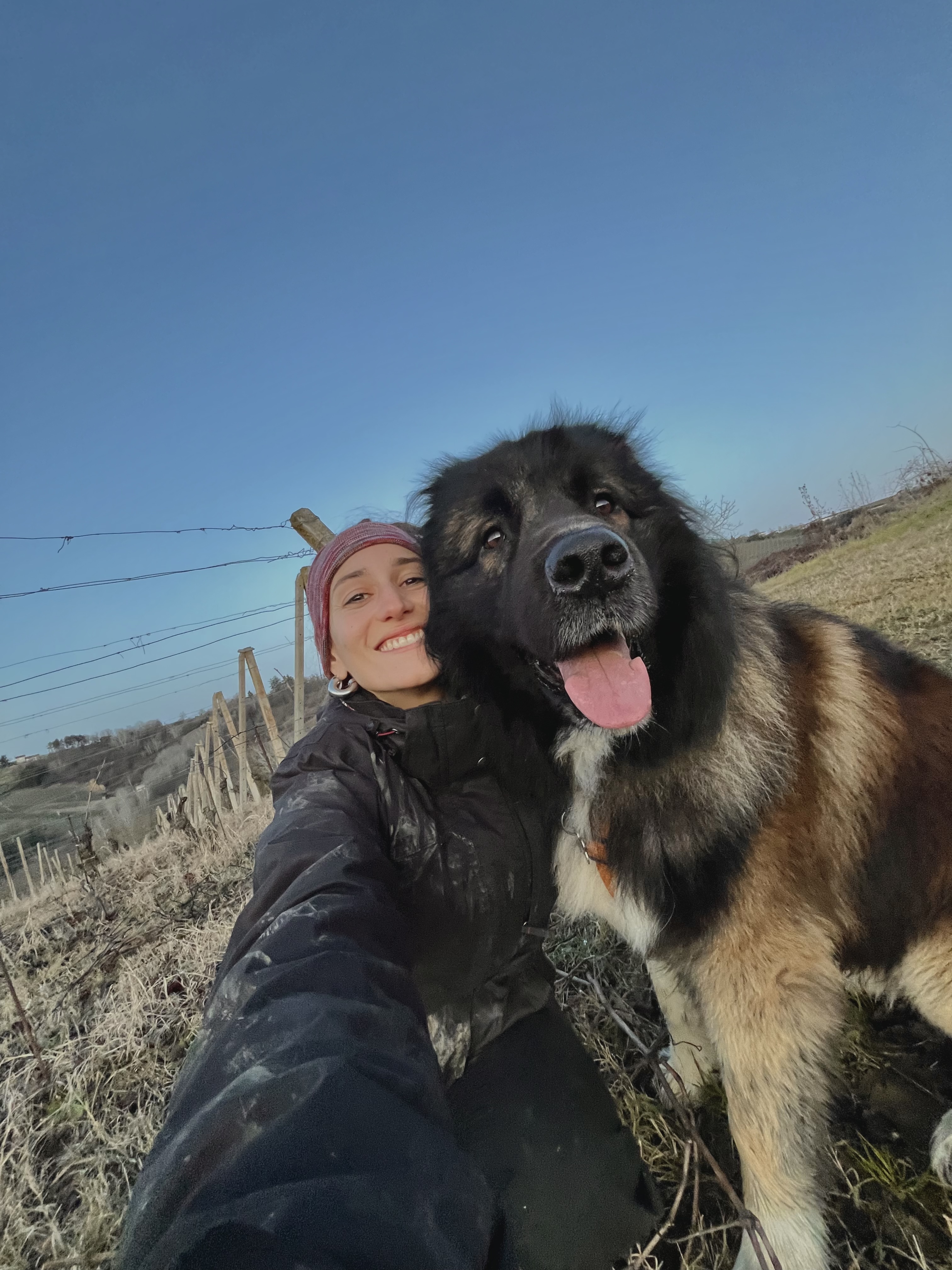 image-14