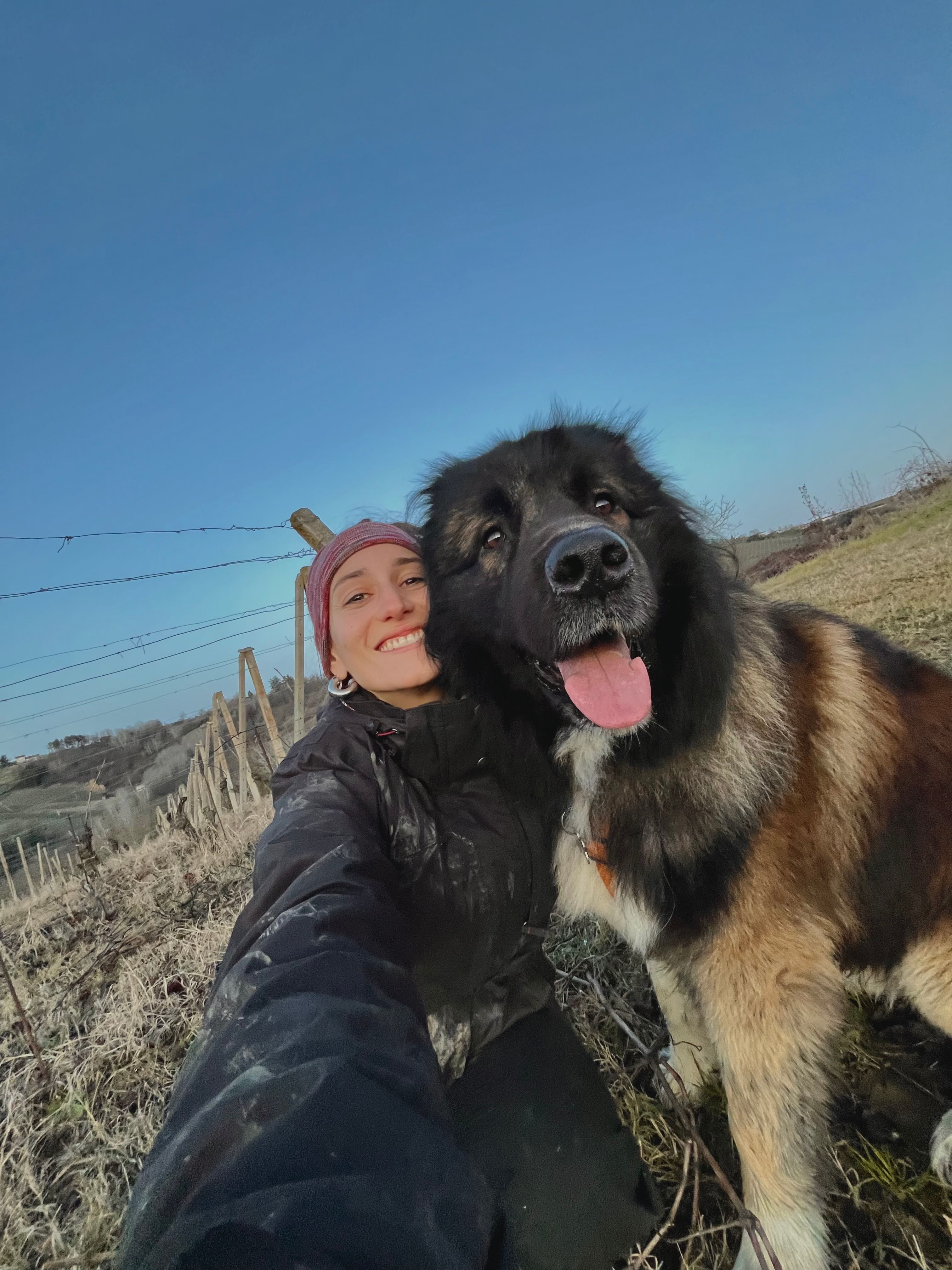 image-14