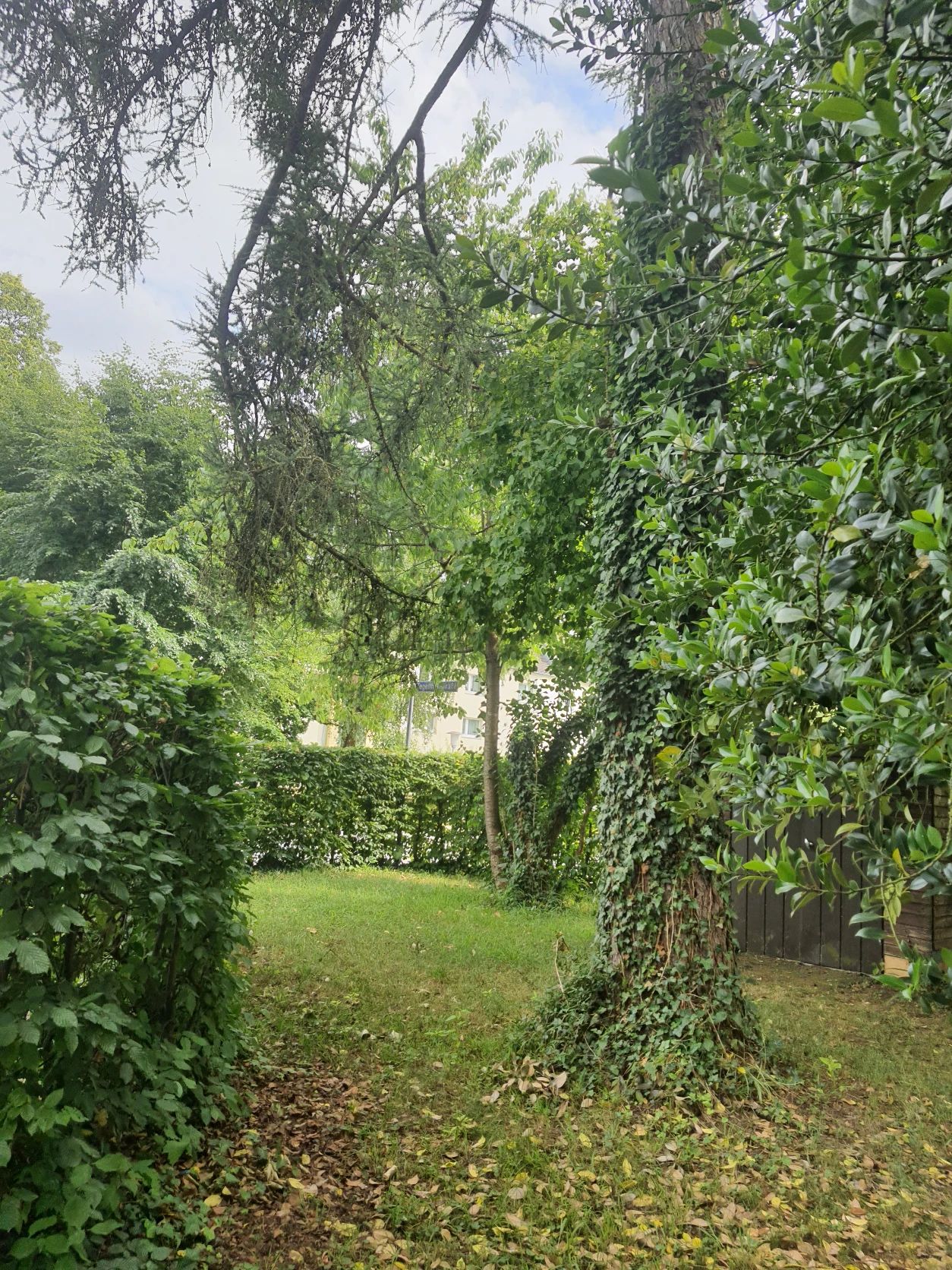 image-14
