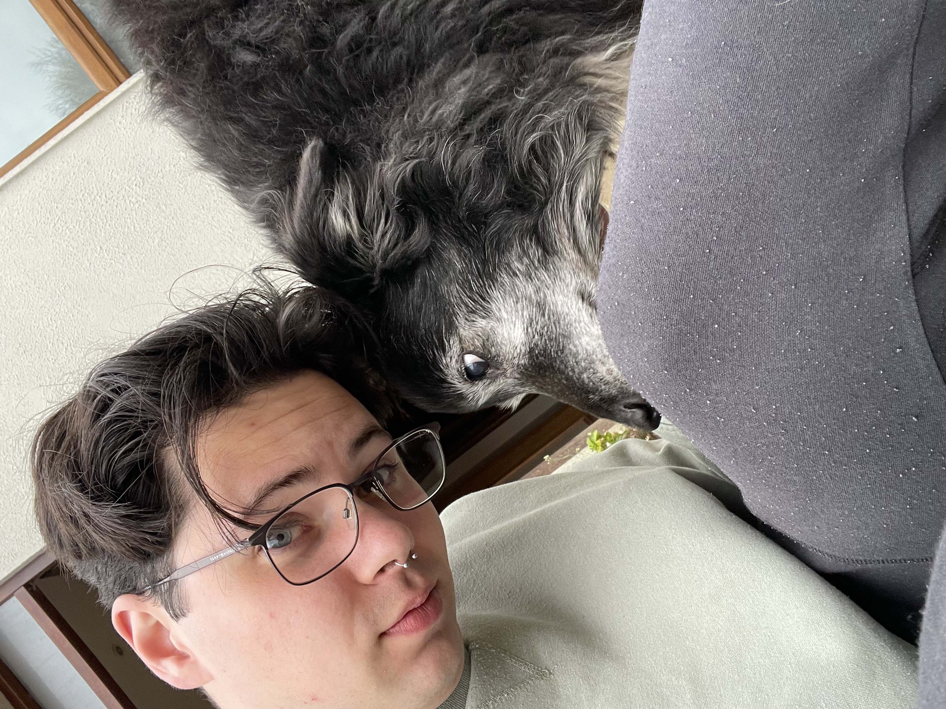 image-7